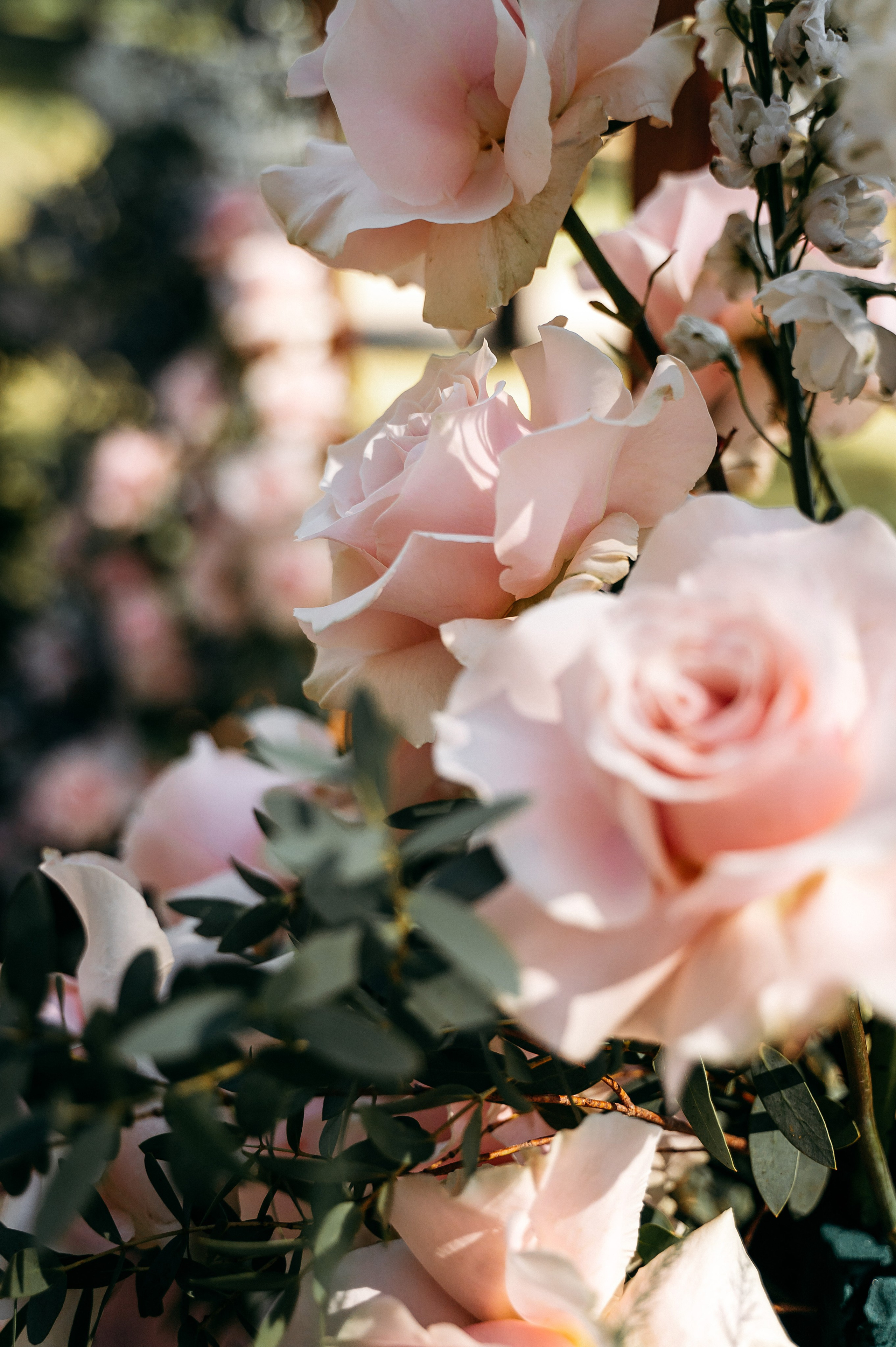 Олександр & Галина. Весільний та портретний фотограф Кизим Арсен