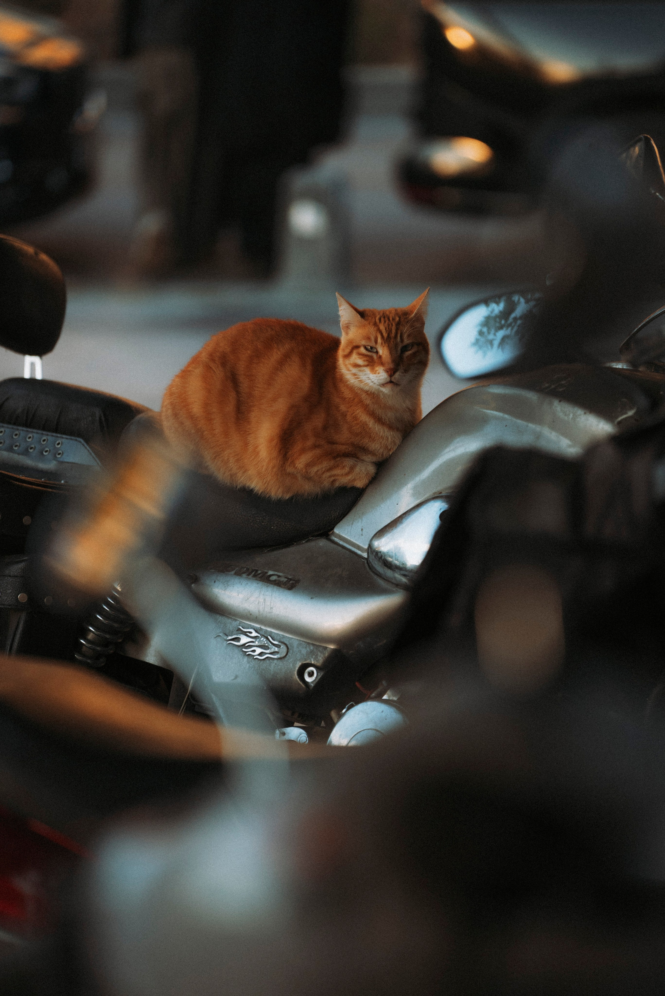 СТАМБУЛ. Стрит-фотография, полная абсурда, идиотизма и красоты