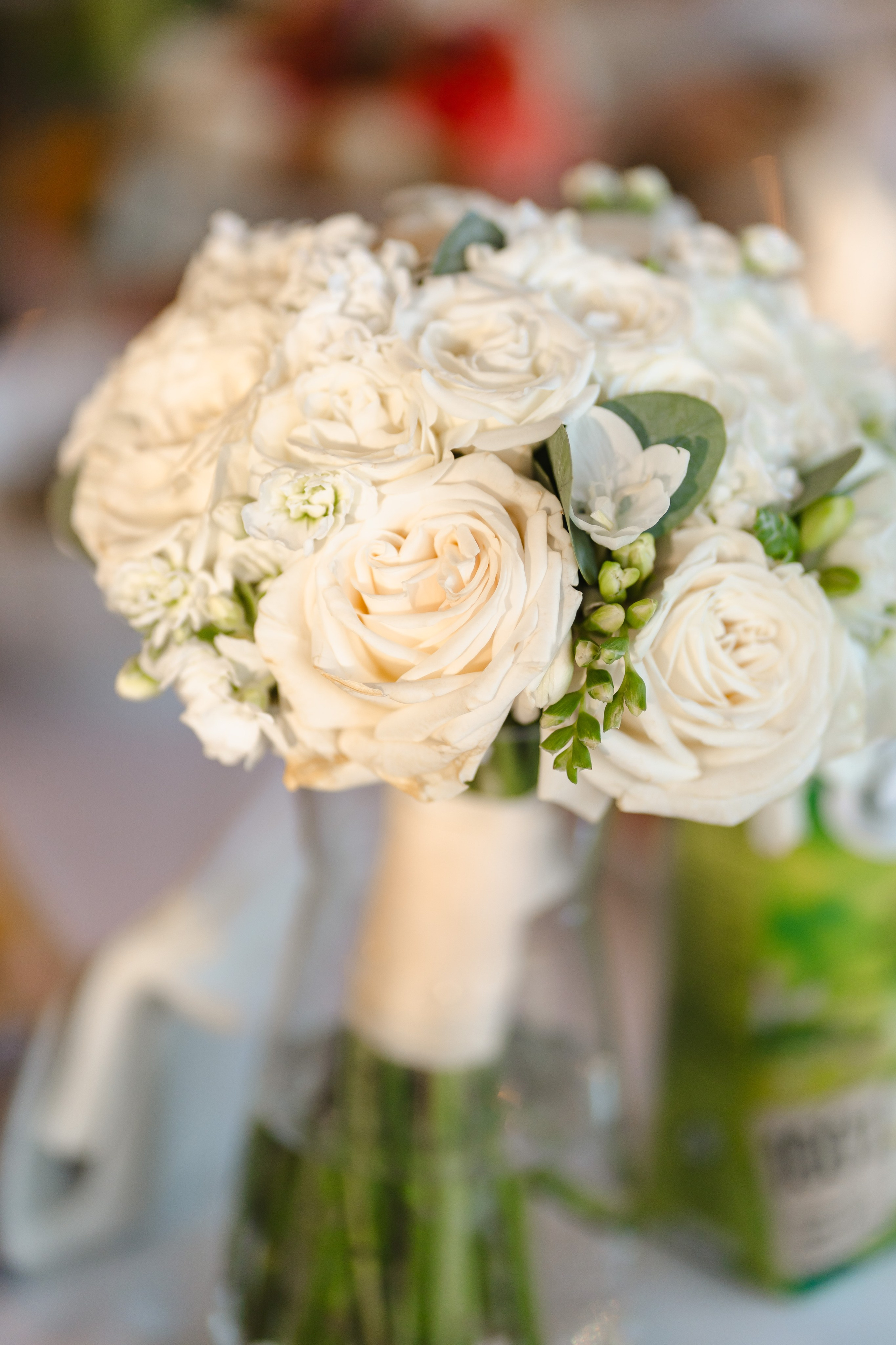 E&S. Montenegro photographer and videographer