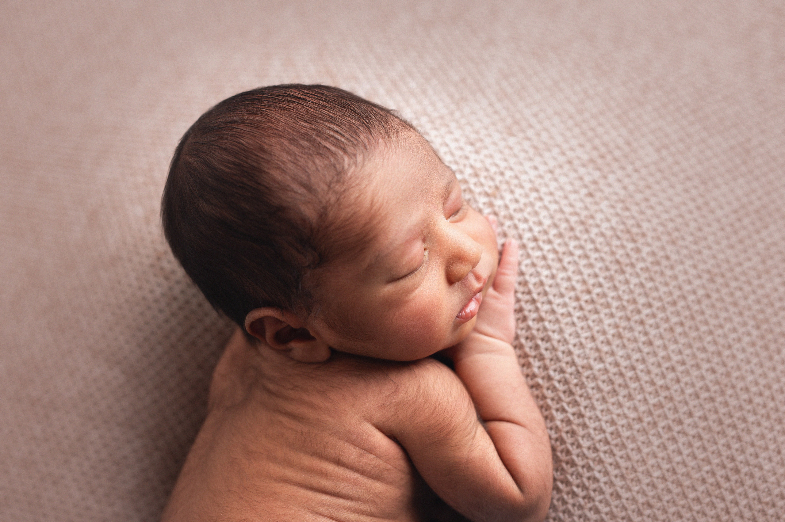 Nivaan 10 days. In-home newborn photography Raleigh & area Katya Kulikova