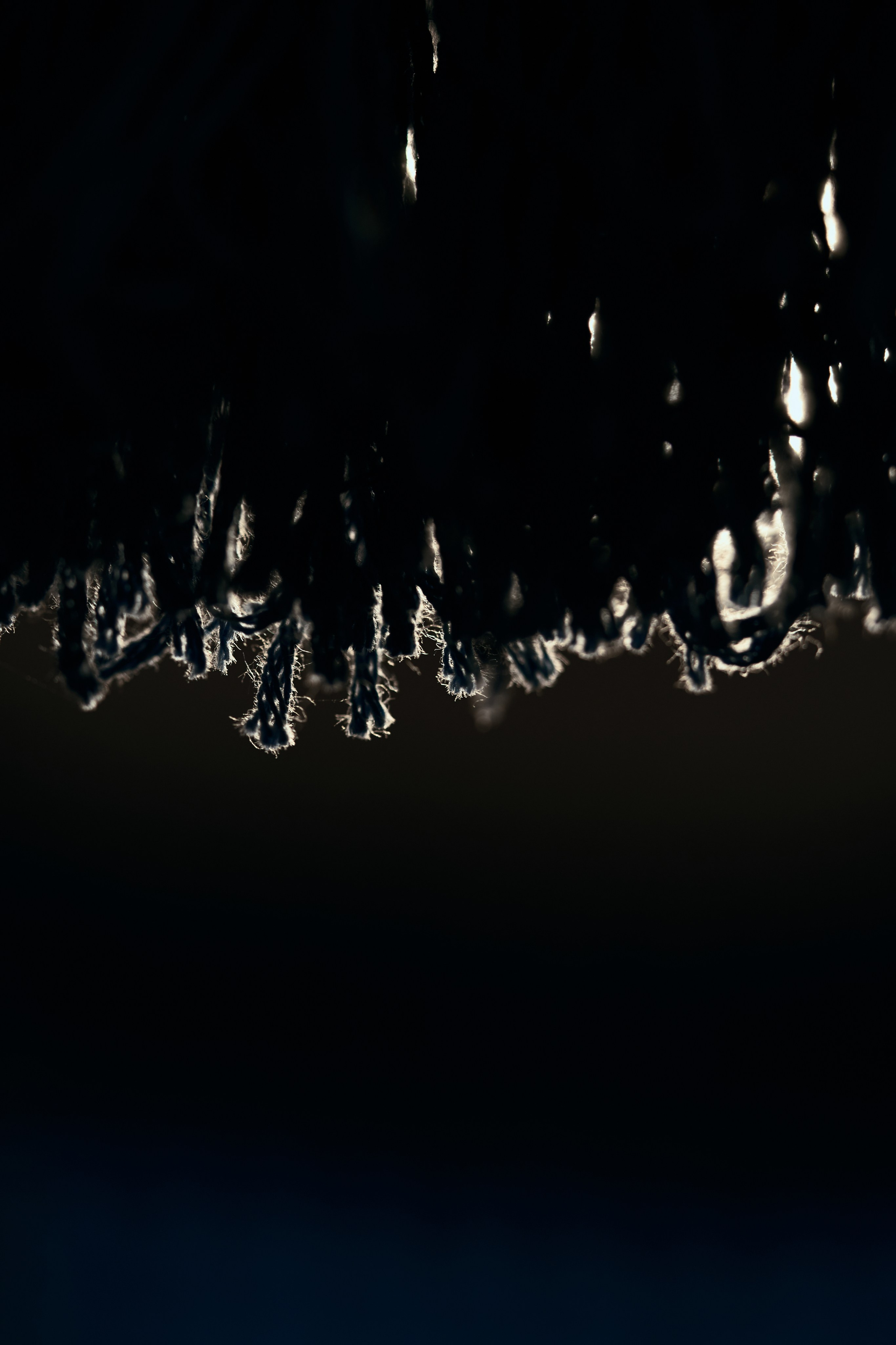 Macro photo. Yoli Park