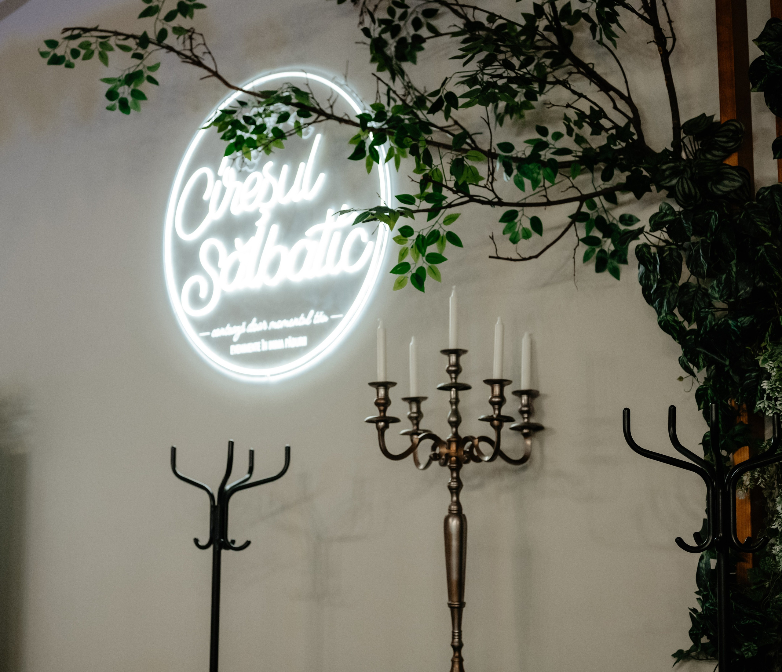 Botez Eva Ioana, Ciresul Salbatic. Ana Maria Dragan Fotograf Evenimente