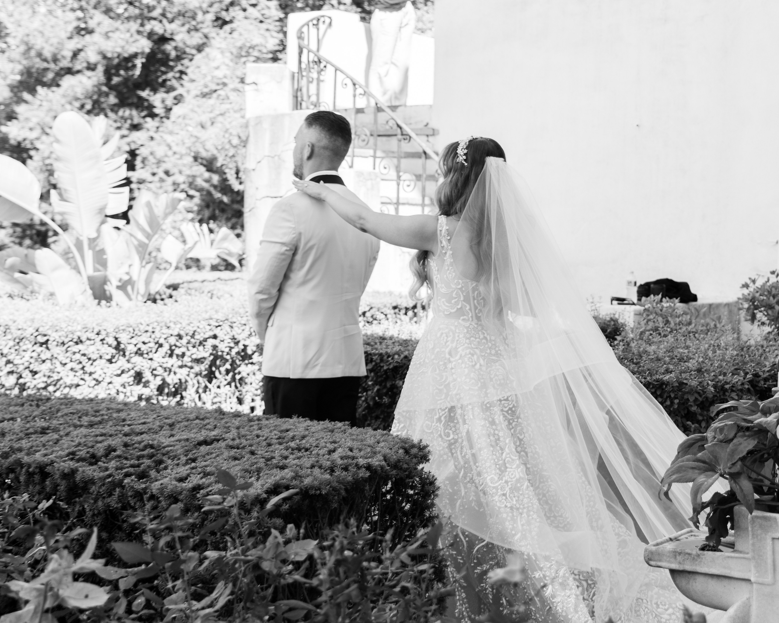 Alexa & Darren. Wedding Photo & Video