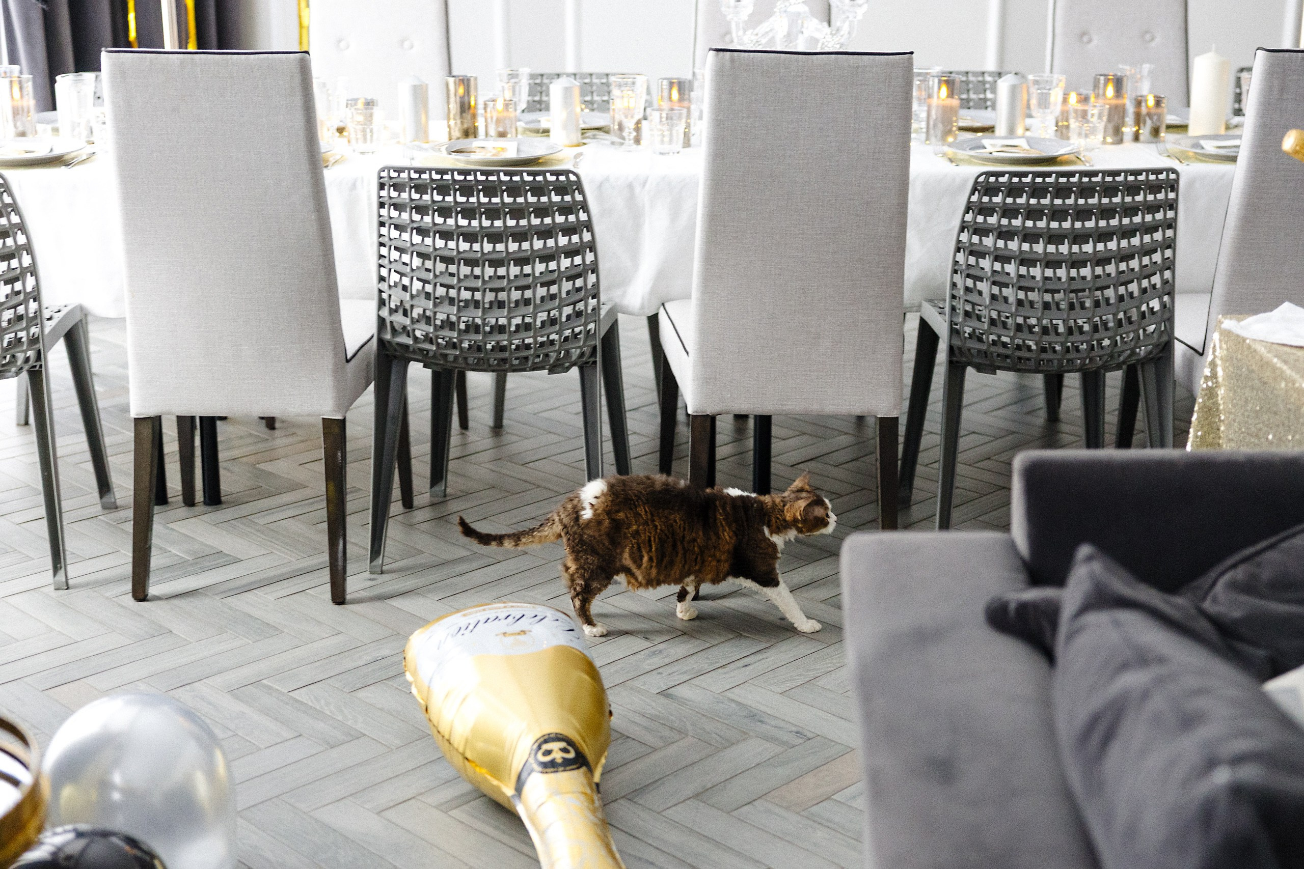 Вечеринка в стиле Великого Гэтсби | Фотограф в Риге. Евгений Тимофеев | Свадебный и контент-фотограф и видеограф в Риге