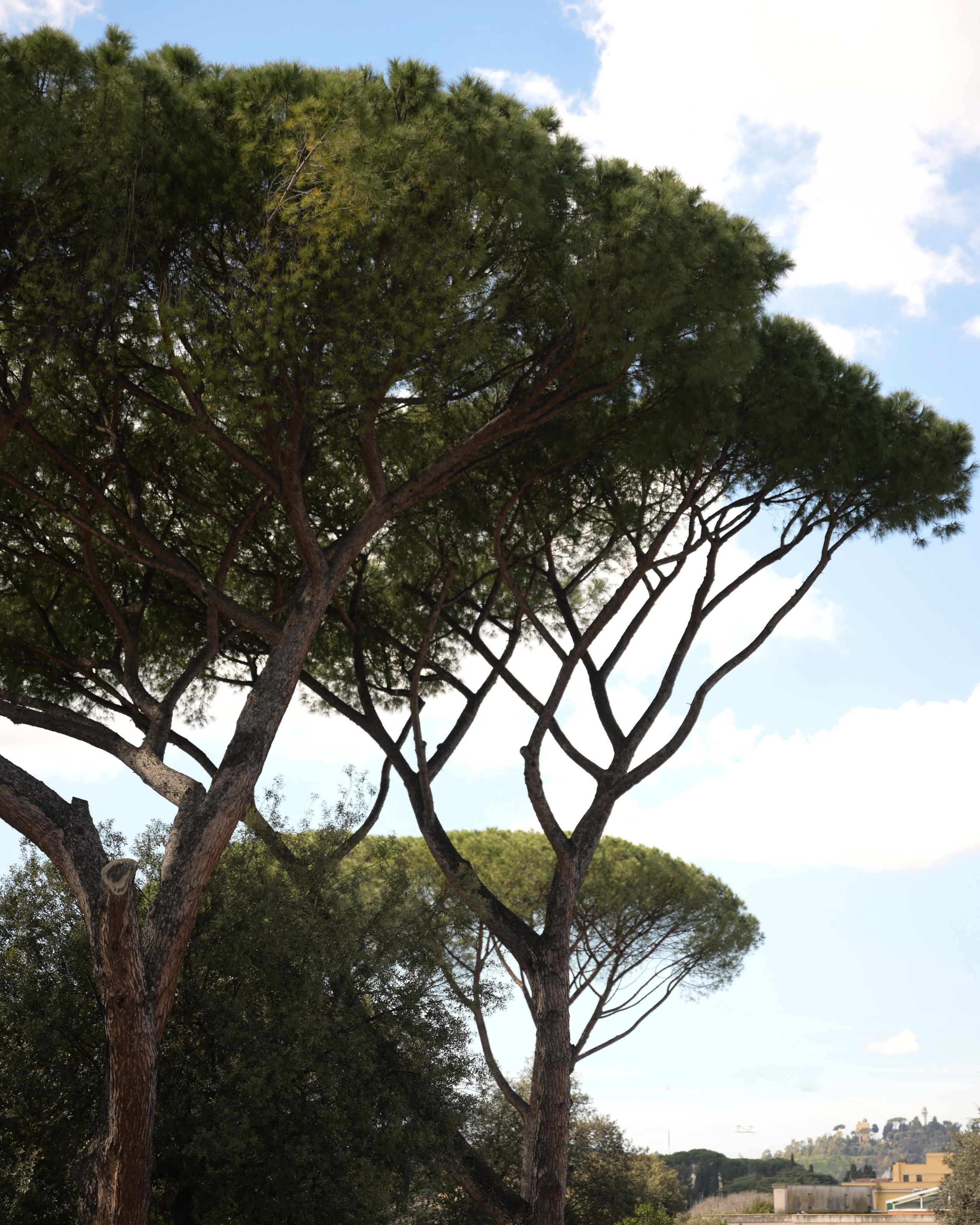 Elopement Wedding at Villa Clara, Rome — Luxury Romance in the Heart of Italy