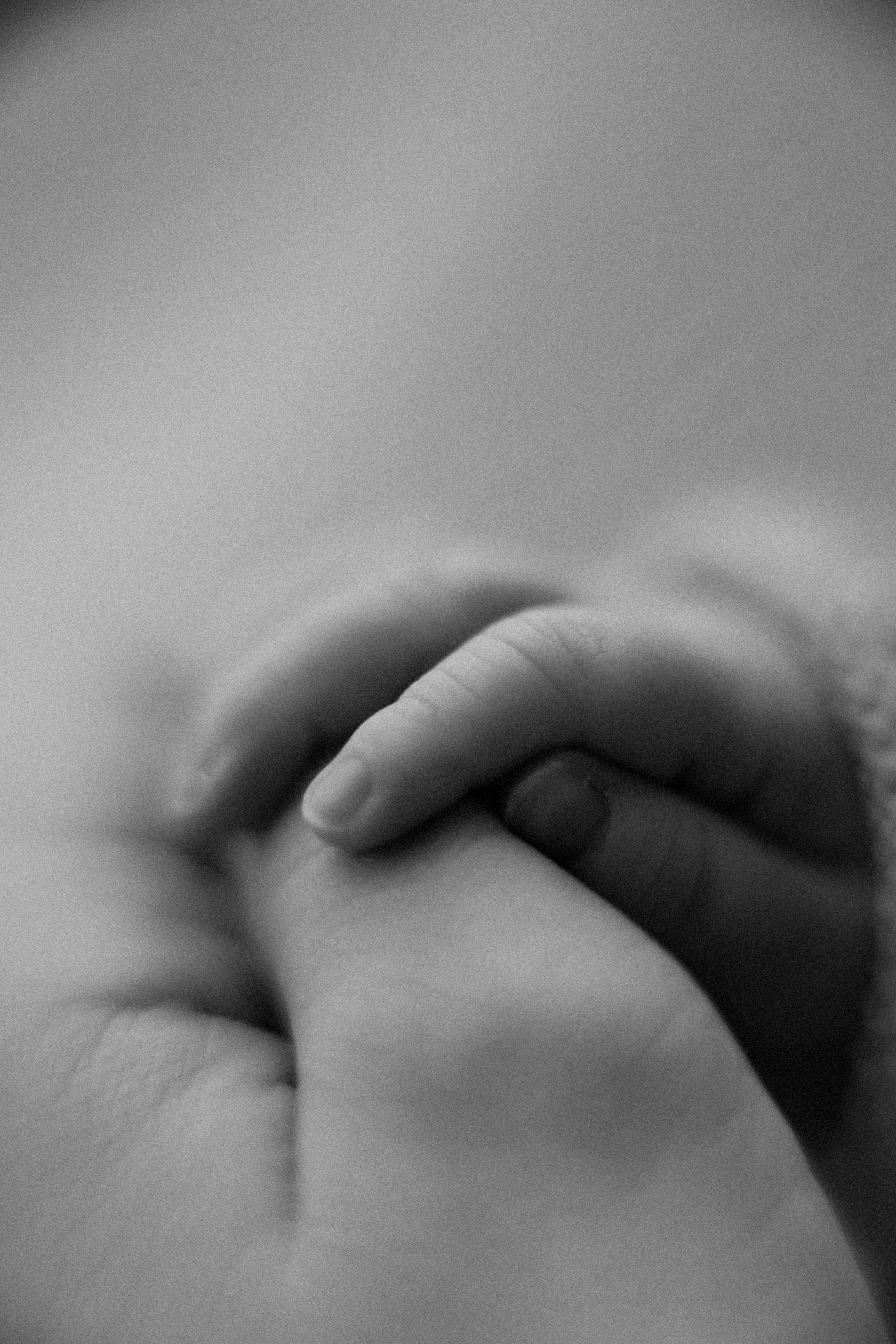 Baby Boy. Фотограф Ирина Йотова