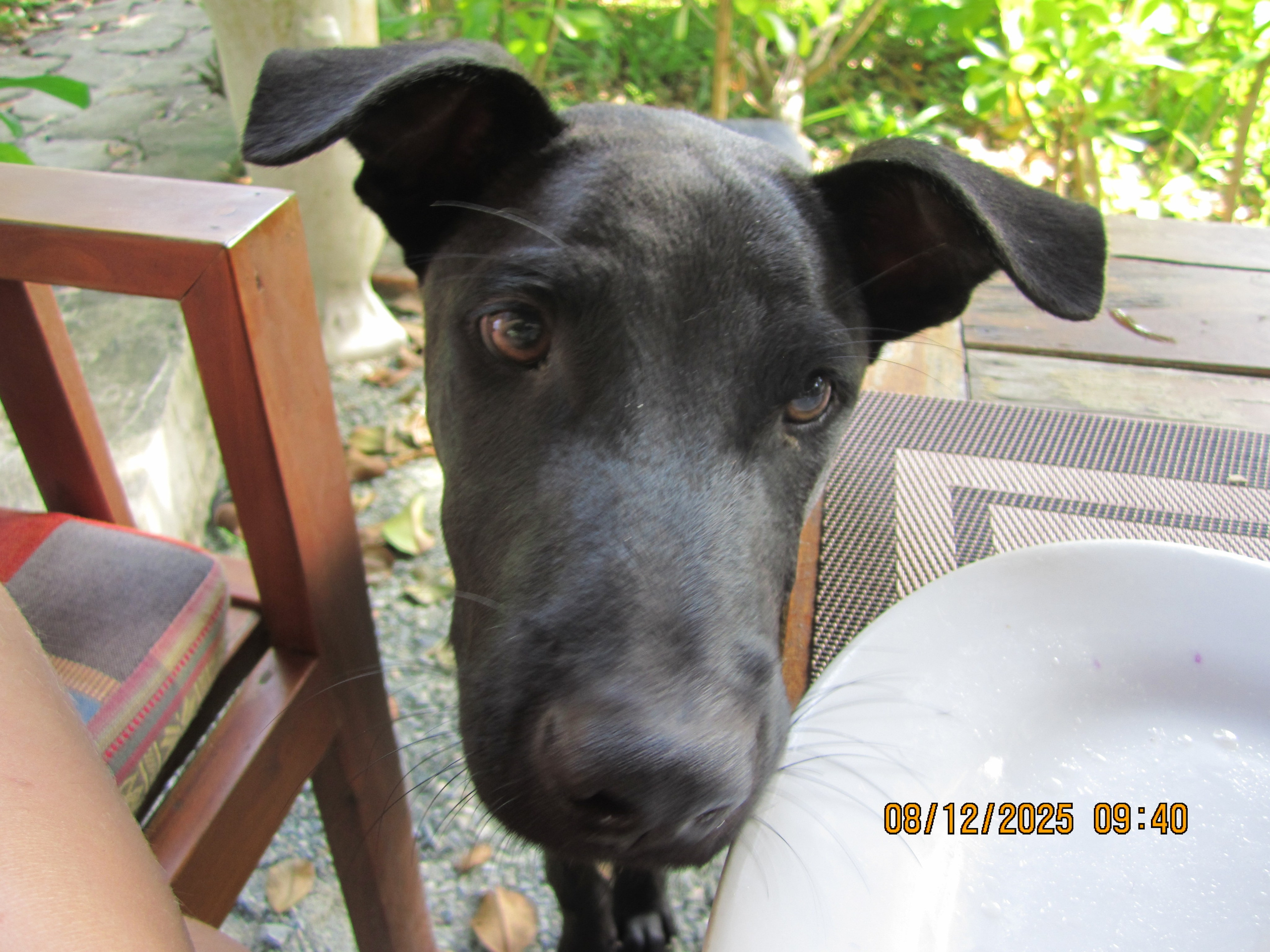 Четырнадцатый день. LondoSpeed Photography