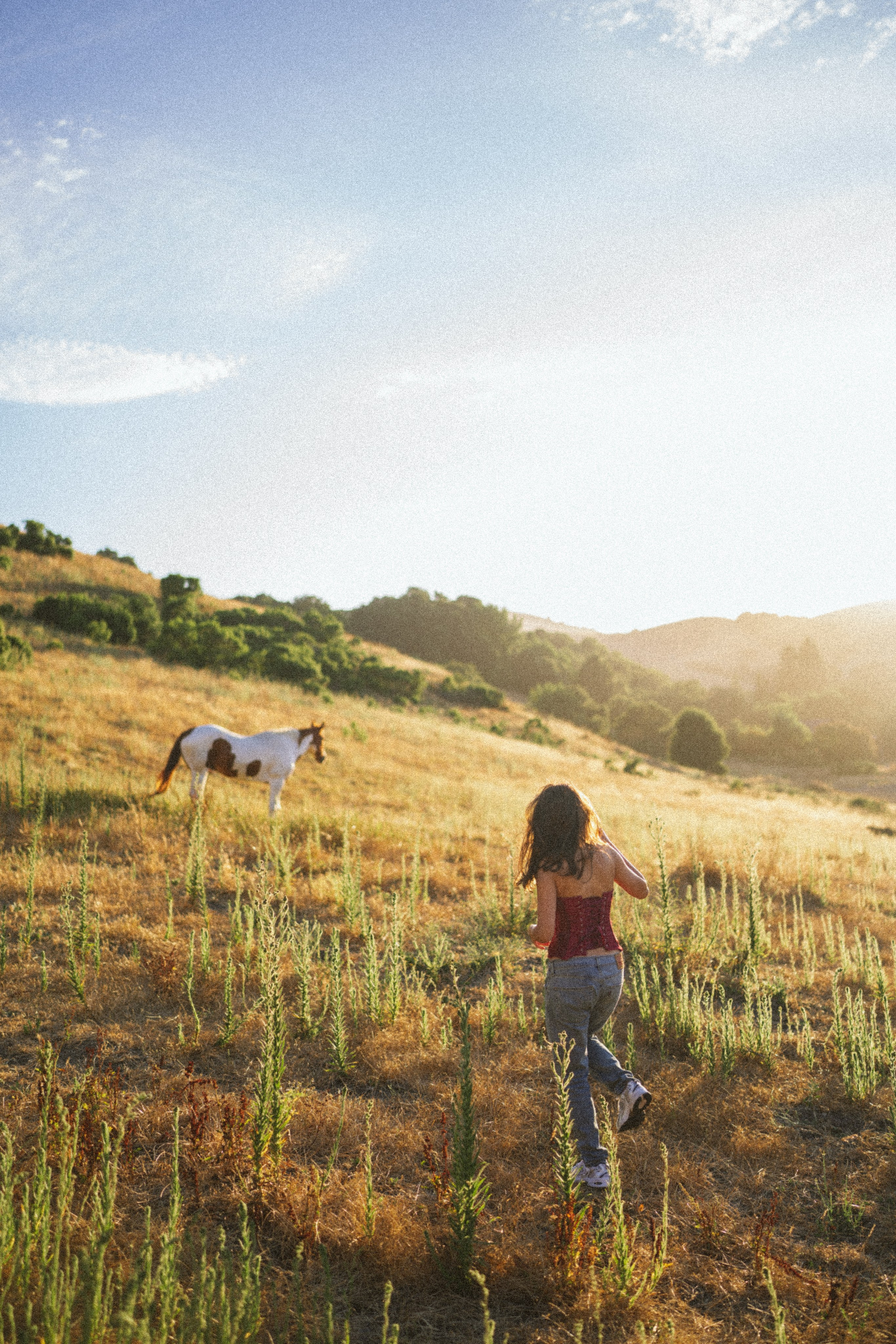 Shaani’s Portrait Session. Soulo Photography | San Francisco Bay Area Based Photographer