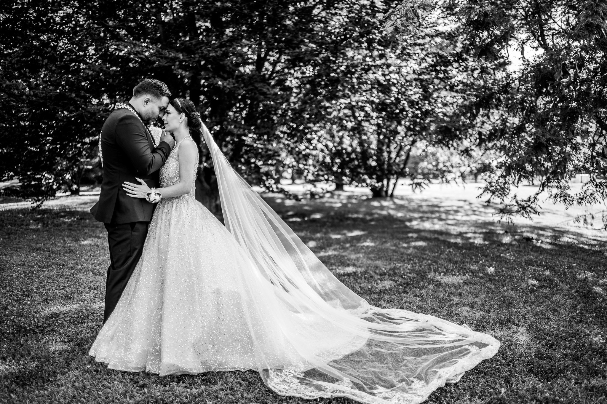 Wedding Andreia & Ionut. Daniel Rotaru Photography