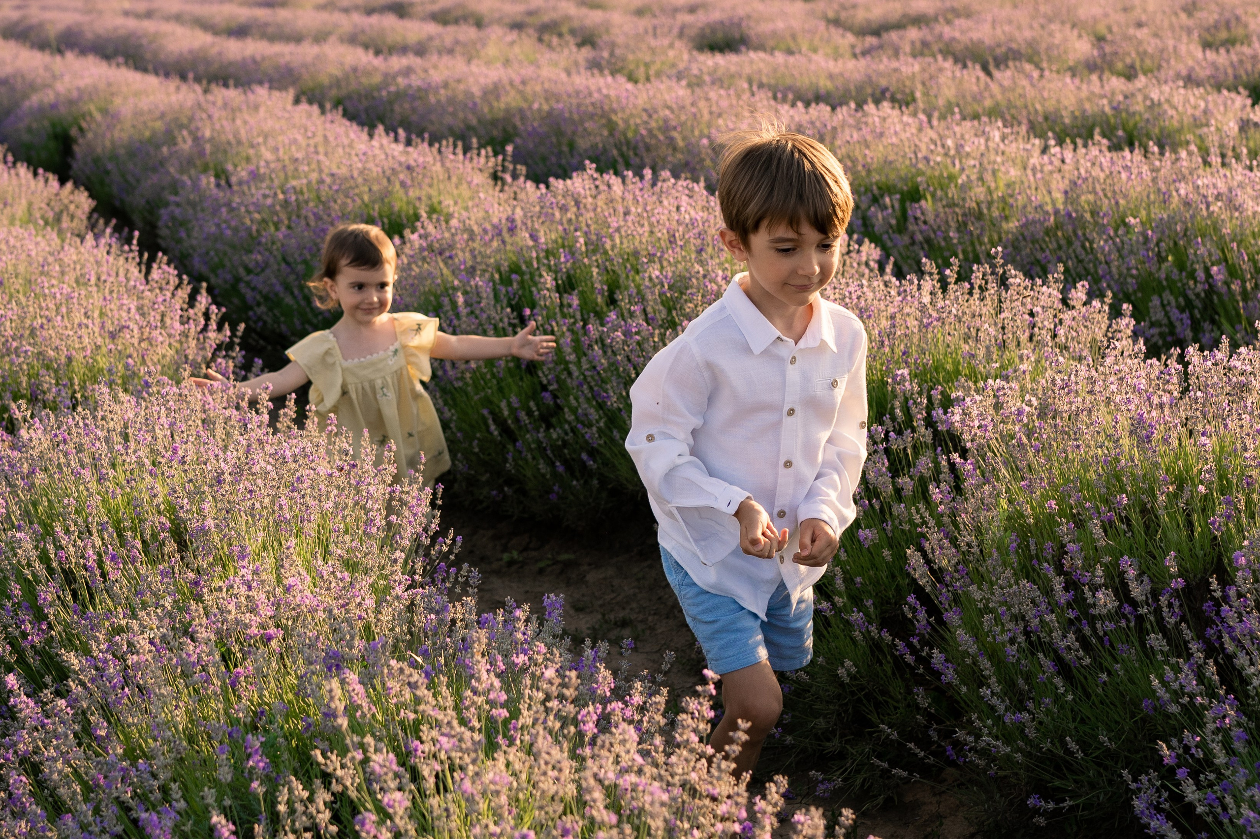 Famille. Photographe Portraitiste et Spécialiste en Photographie de Famille et Mariages — Région de Lille, Valenciennes