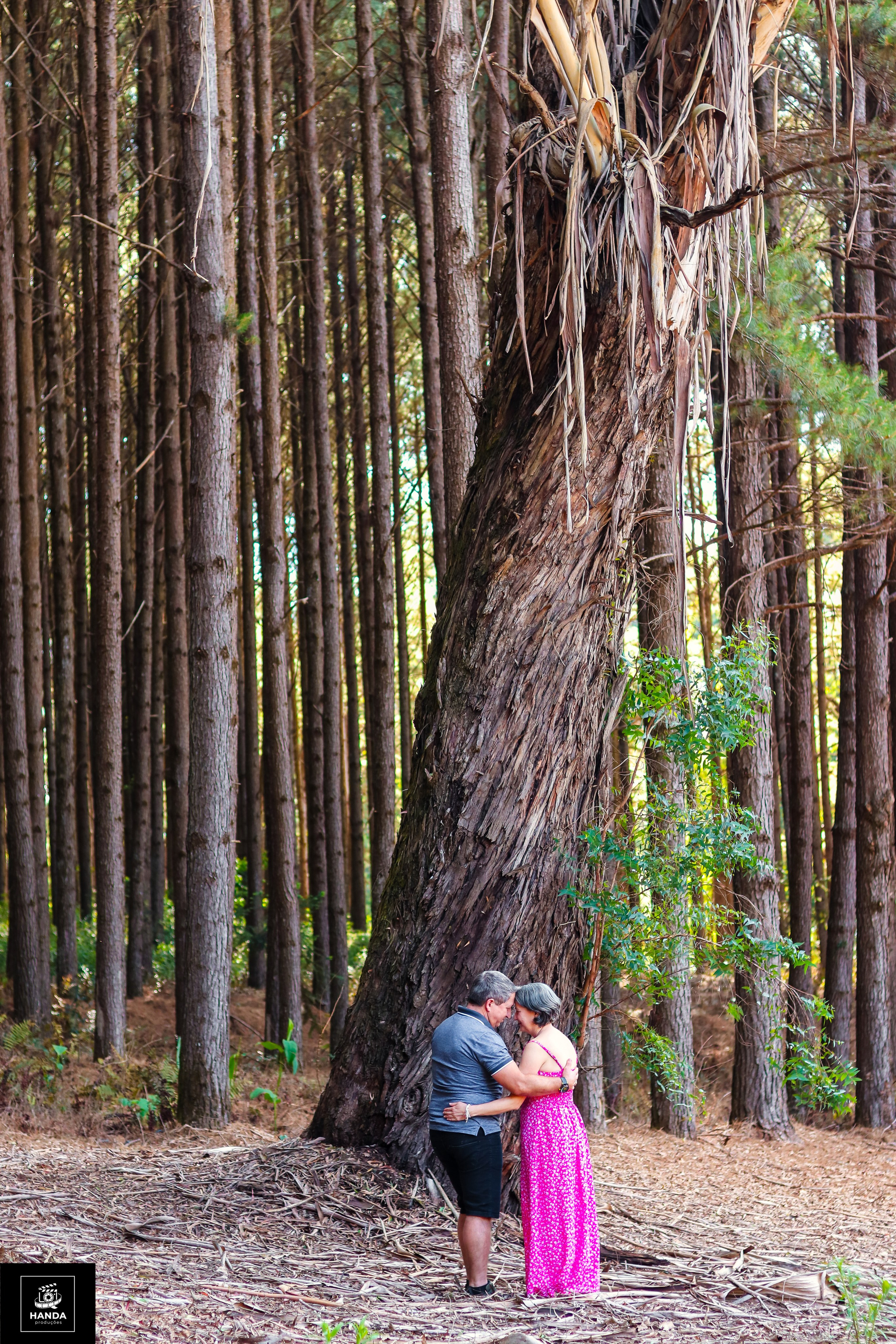Pré Weeding Pedro e Teresinha. Handa Produções