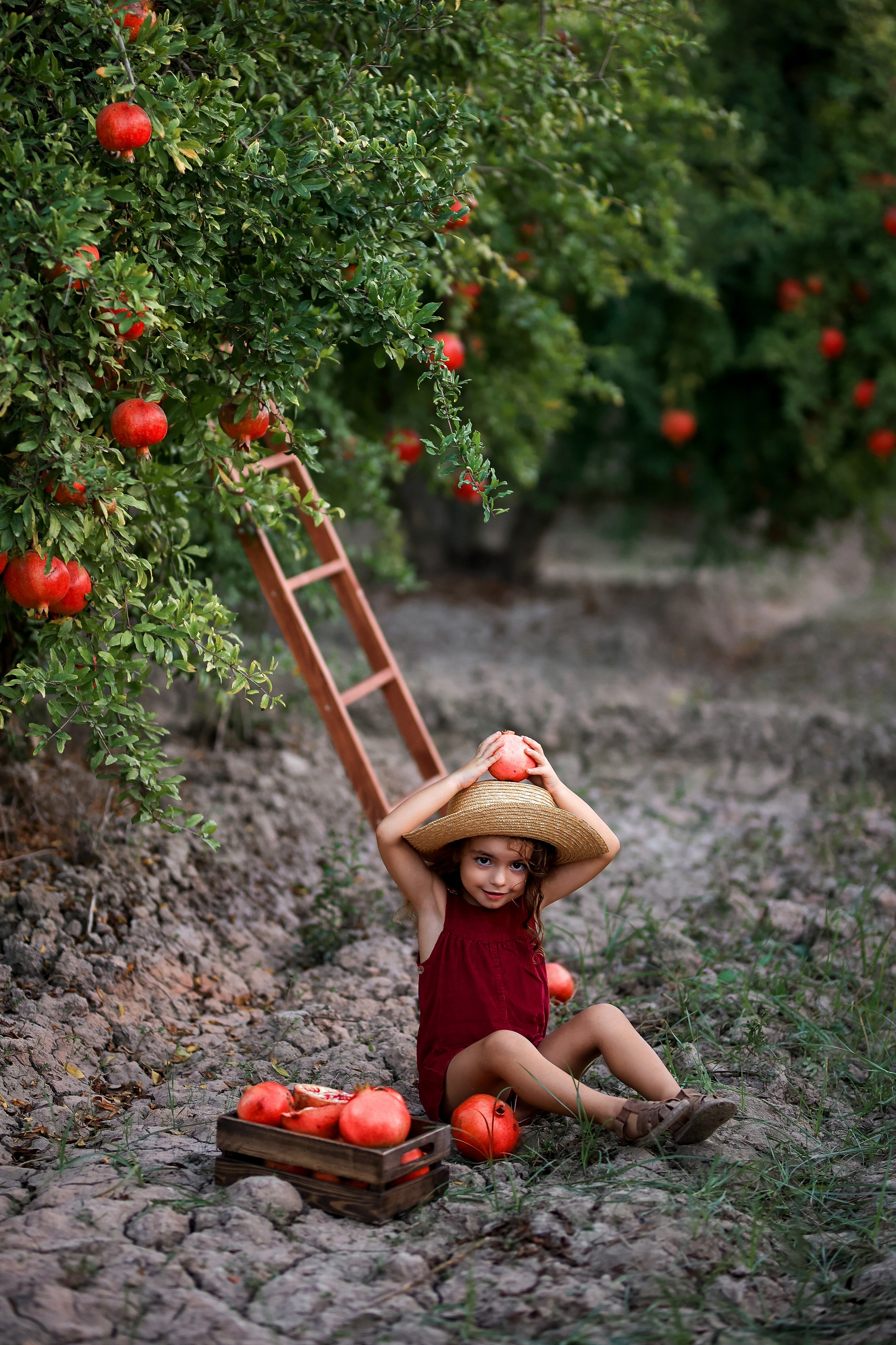 Photoshooting in pomegranate garden. Photographer in Turkey, Antalya, Kemer, Belek, Side, Kas, Fethiye