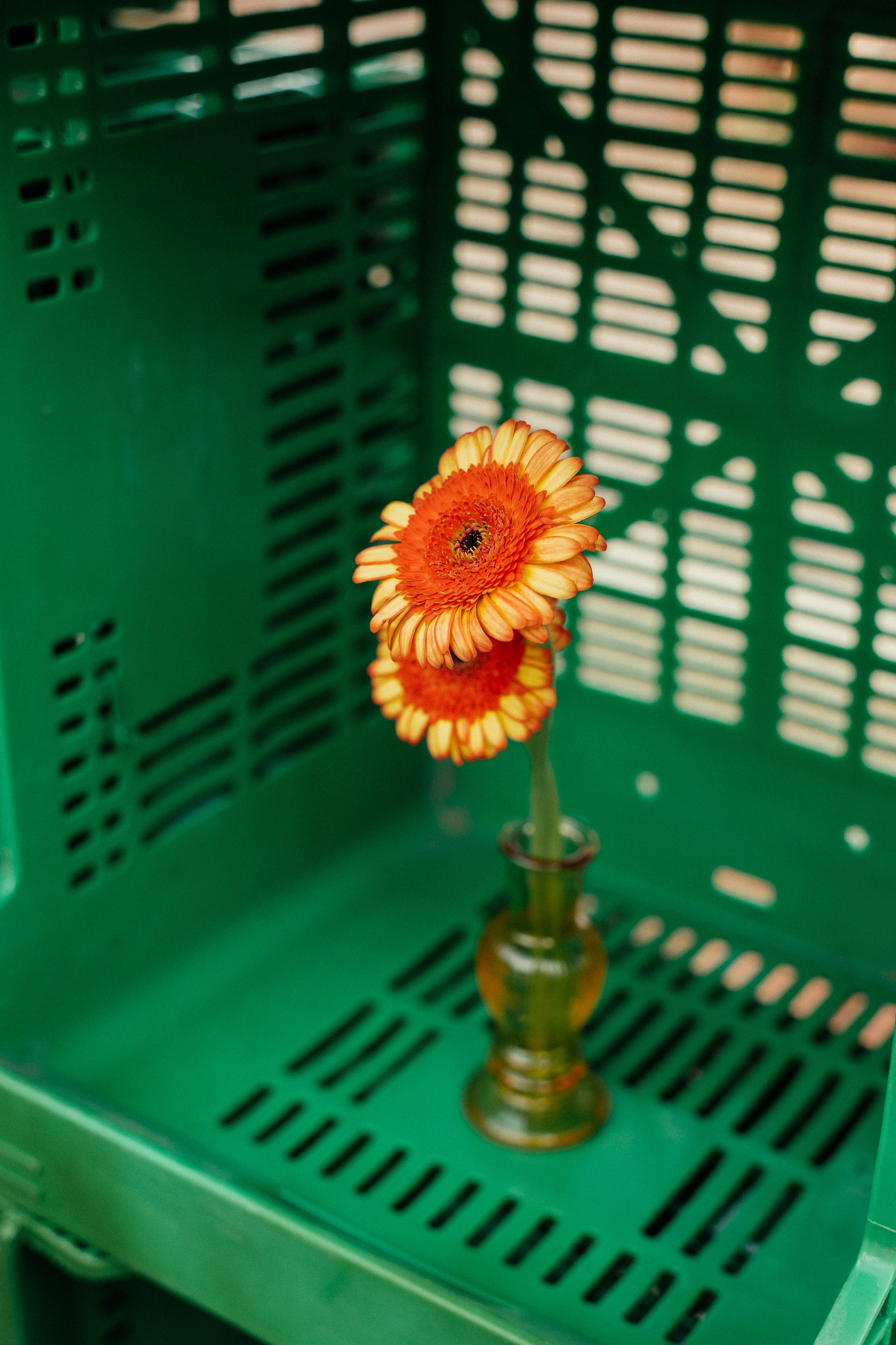 Gonzalo & Maria (Murcia)