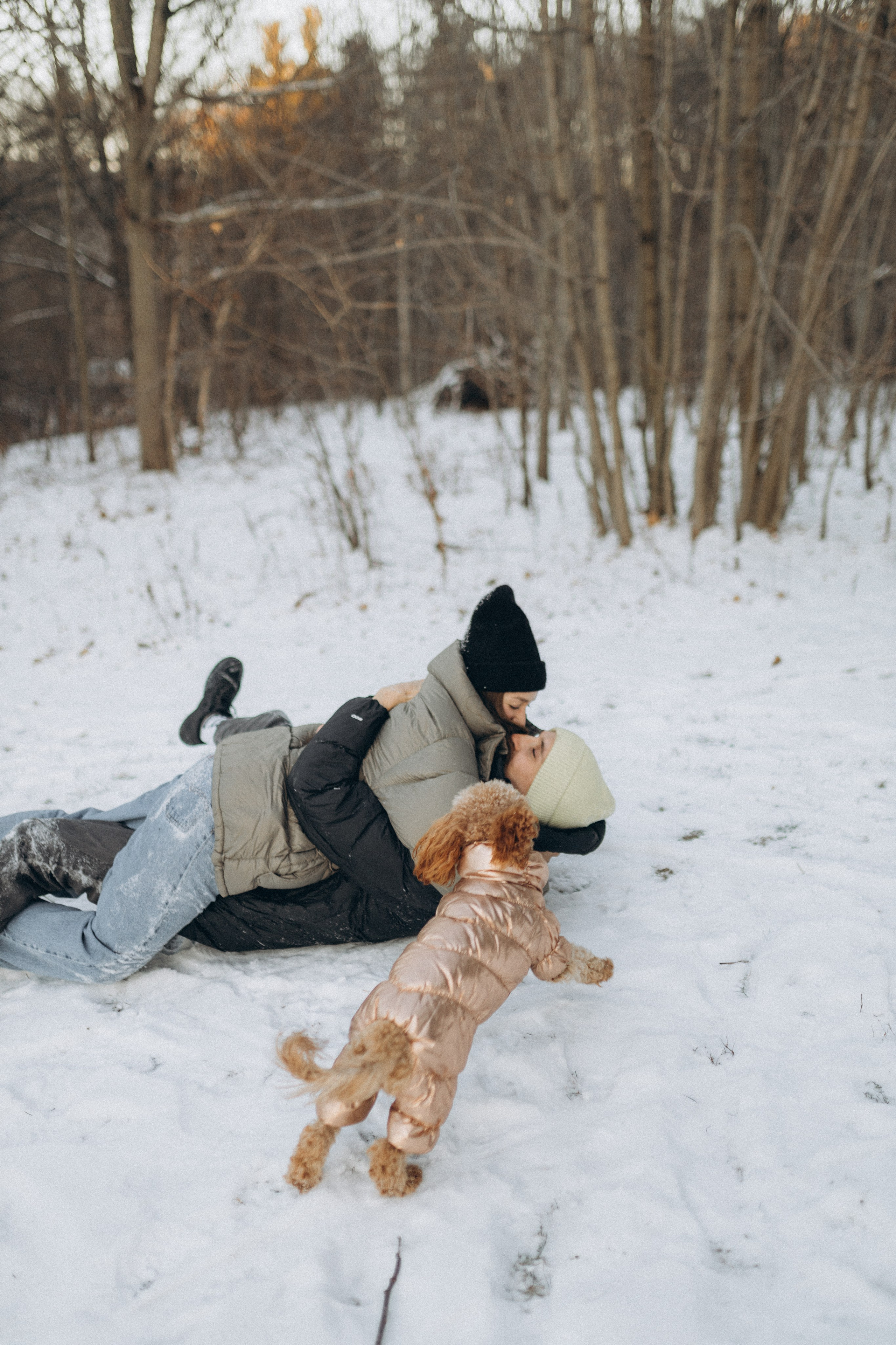 Winter magic. Chernenko.photography