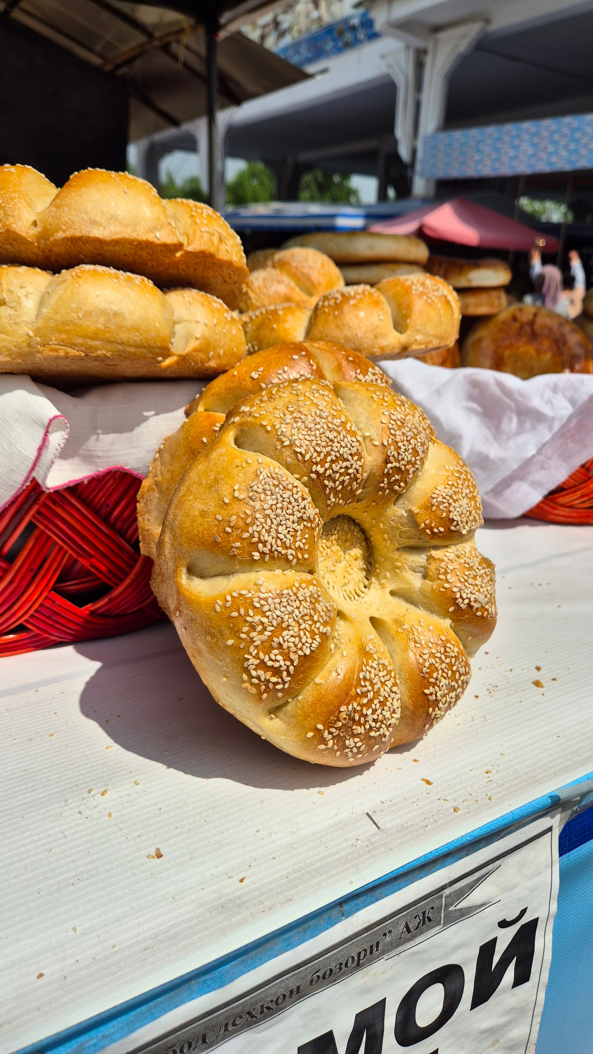 Uzbekistan 2024. Photographer Marina, city of Nuremberg