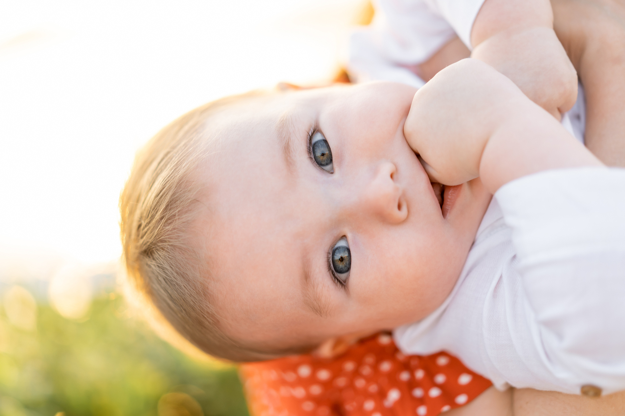 Family photoshoot in Sveti-sefan (Milocer)