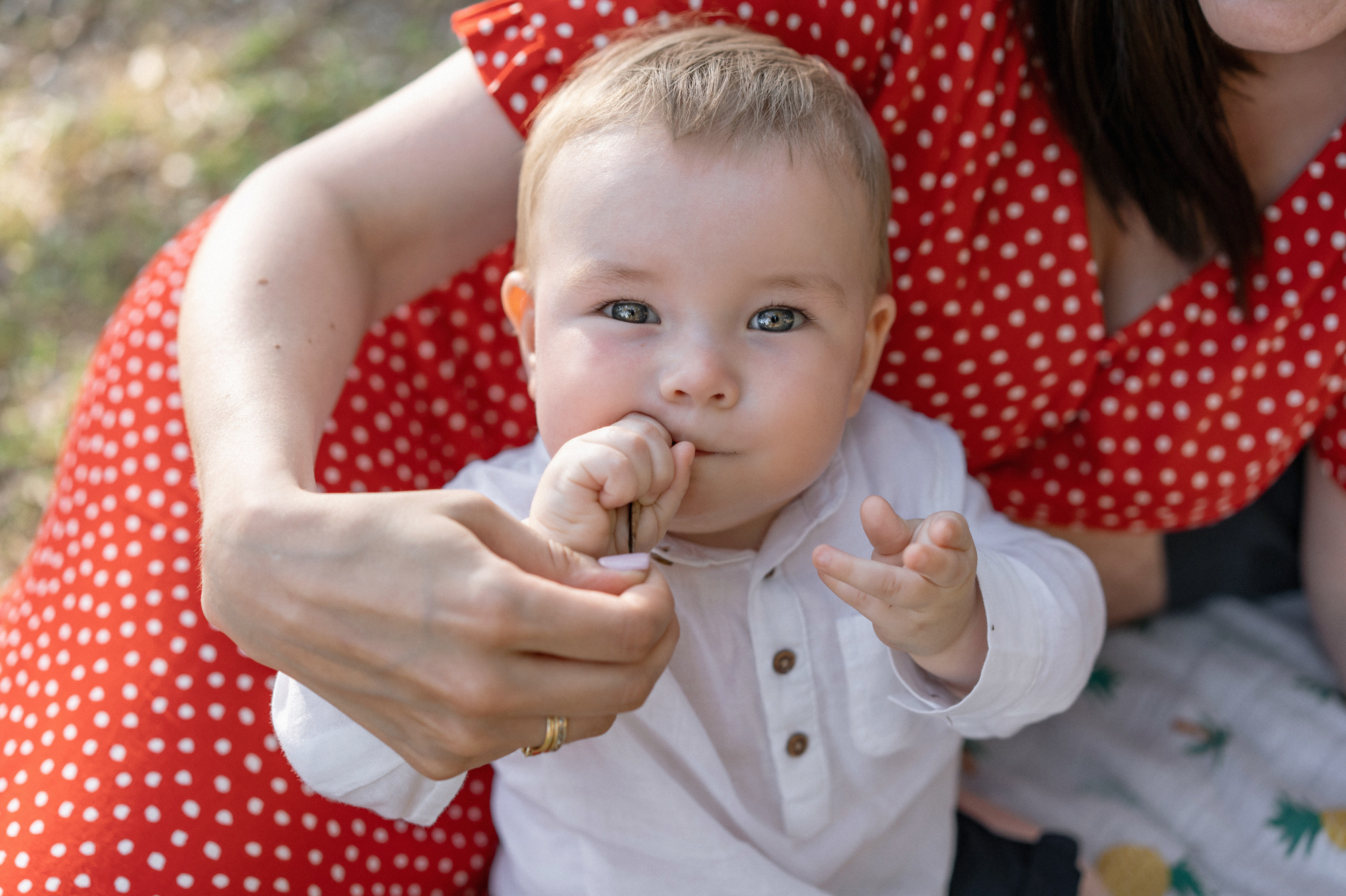 Family photoshoot in Sveti-sefan (Milocer)