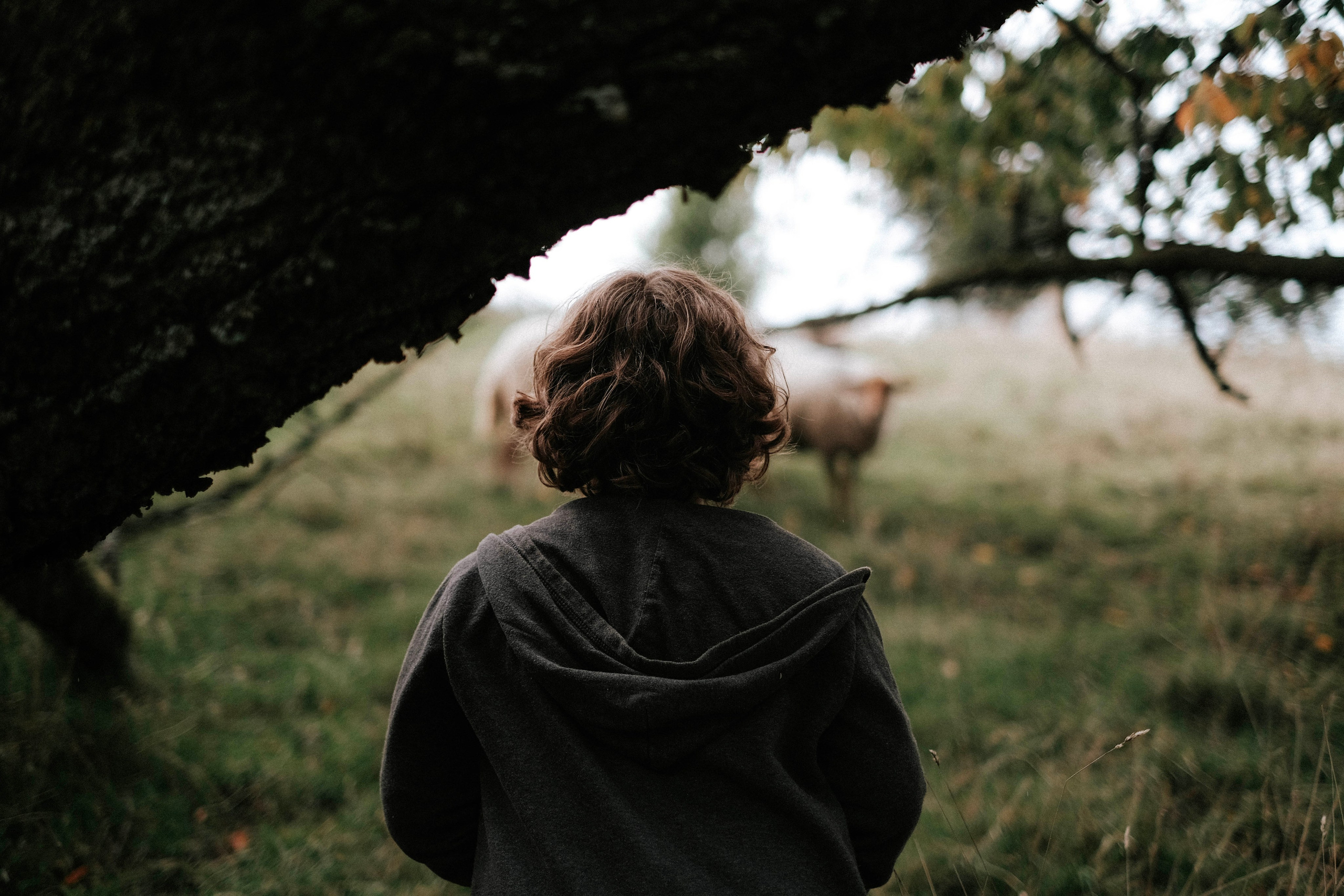 Lena&Lev. Authentische Familienfotografie in Köln