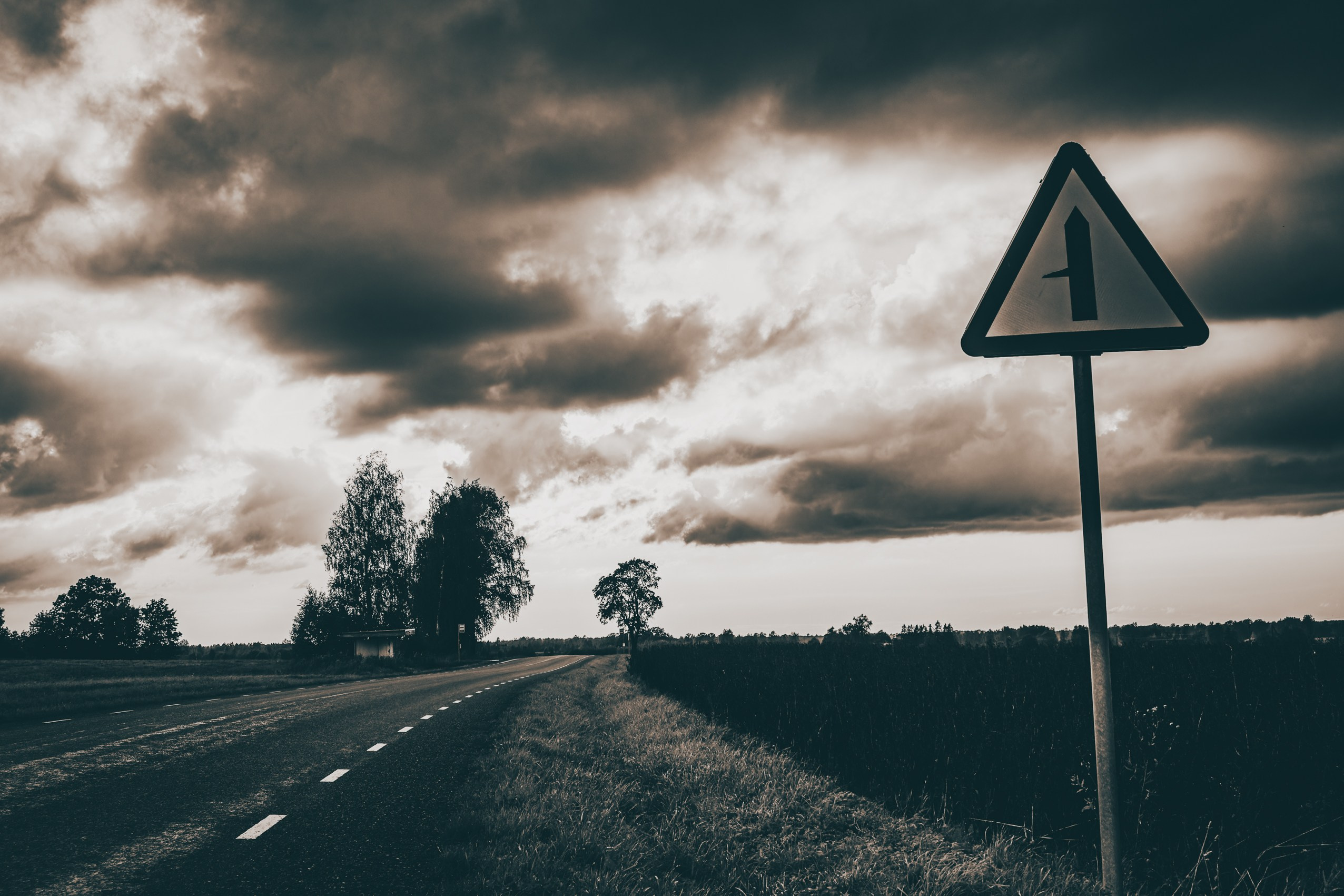 Nebula 25 — Фотографии для вашей души