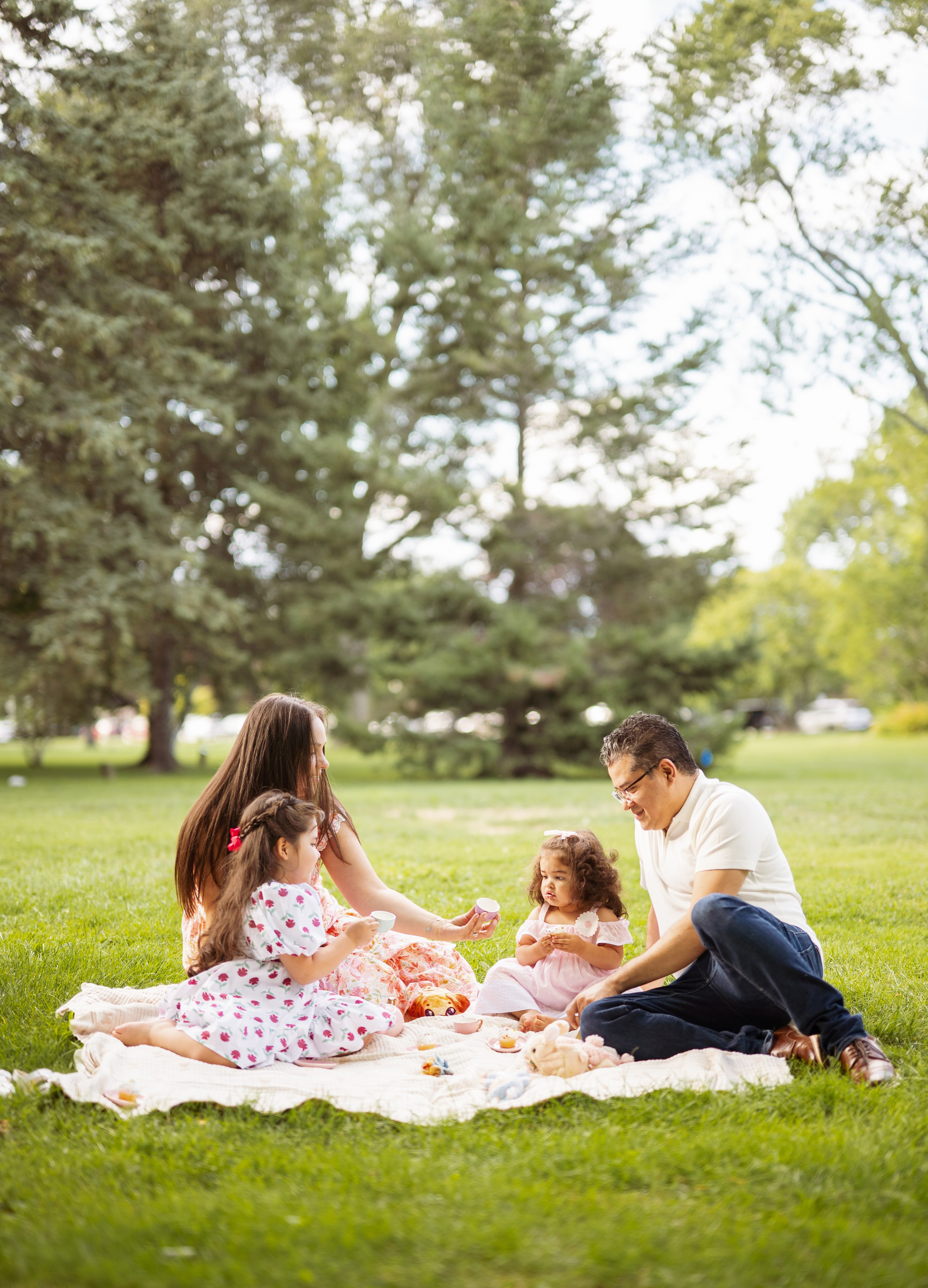 Chicago family photoshoot. Photographer in Chicago