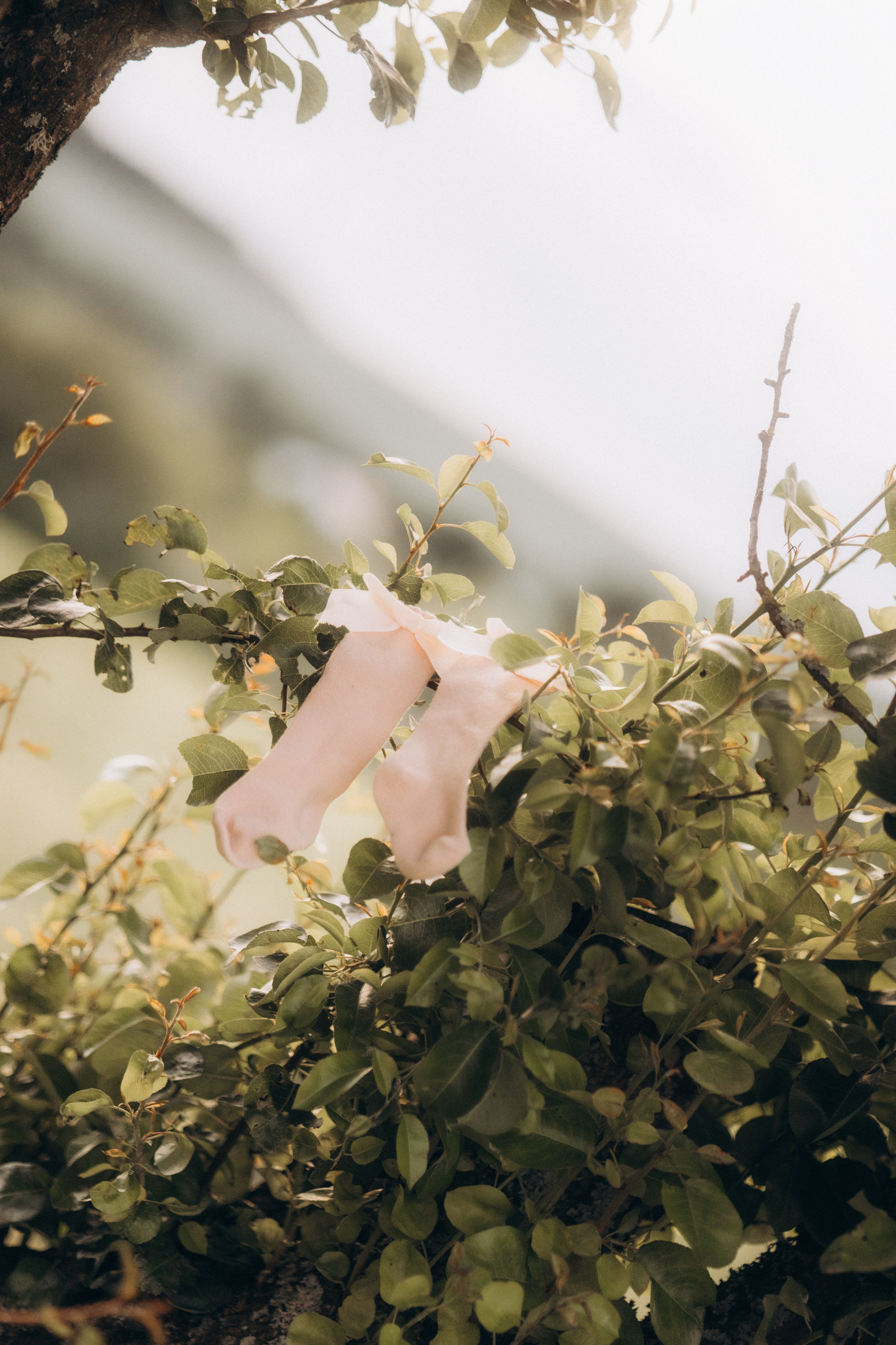 Liebe wächst. Julia Sööt Fotografie