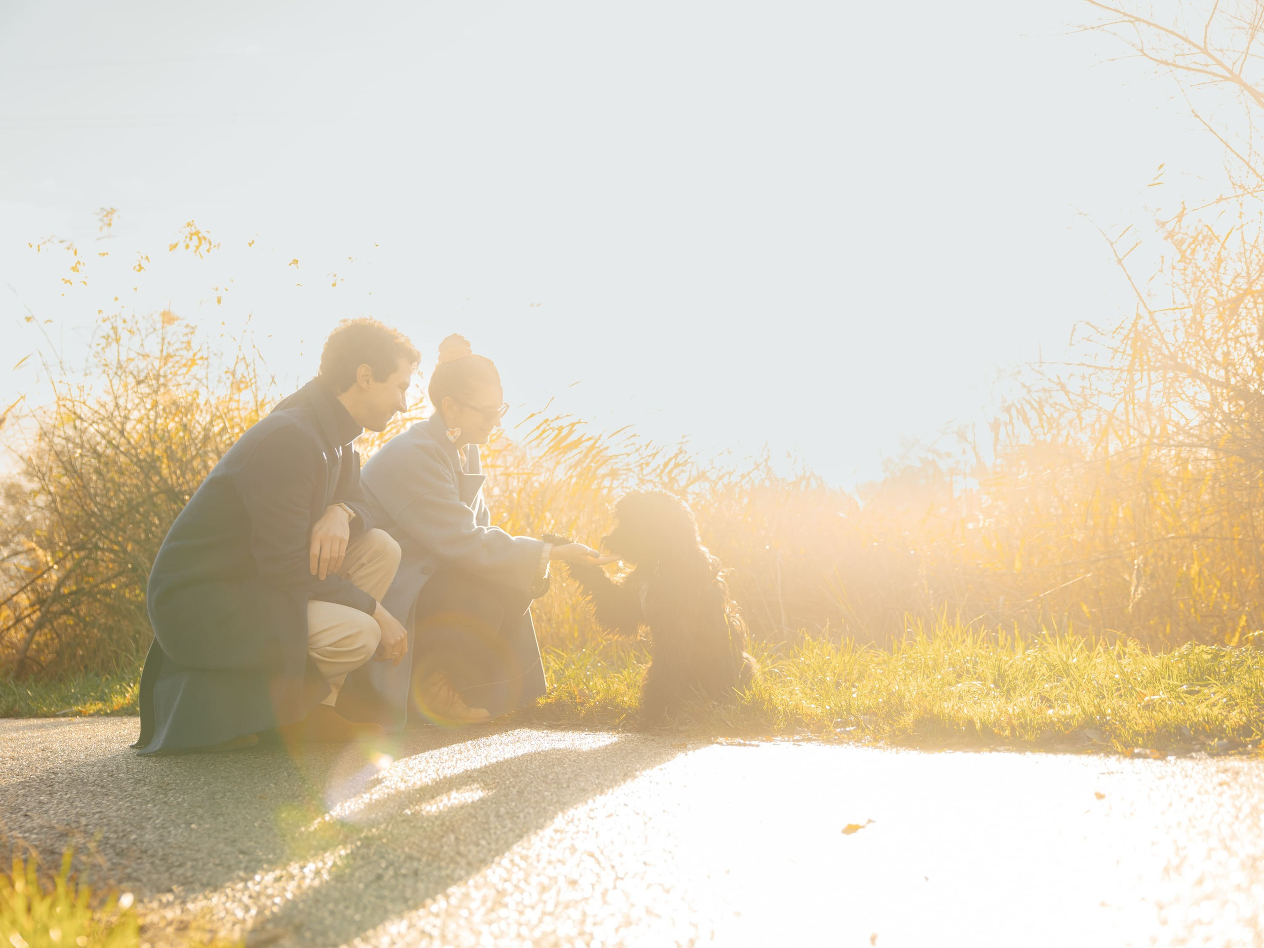Pet Photoshoot in Spijkenisse | Rotterdam. Romantic & Soulful Photography by Natalia Olhova in Rotterdam