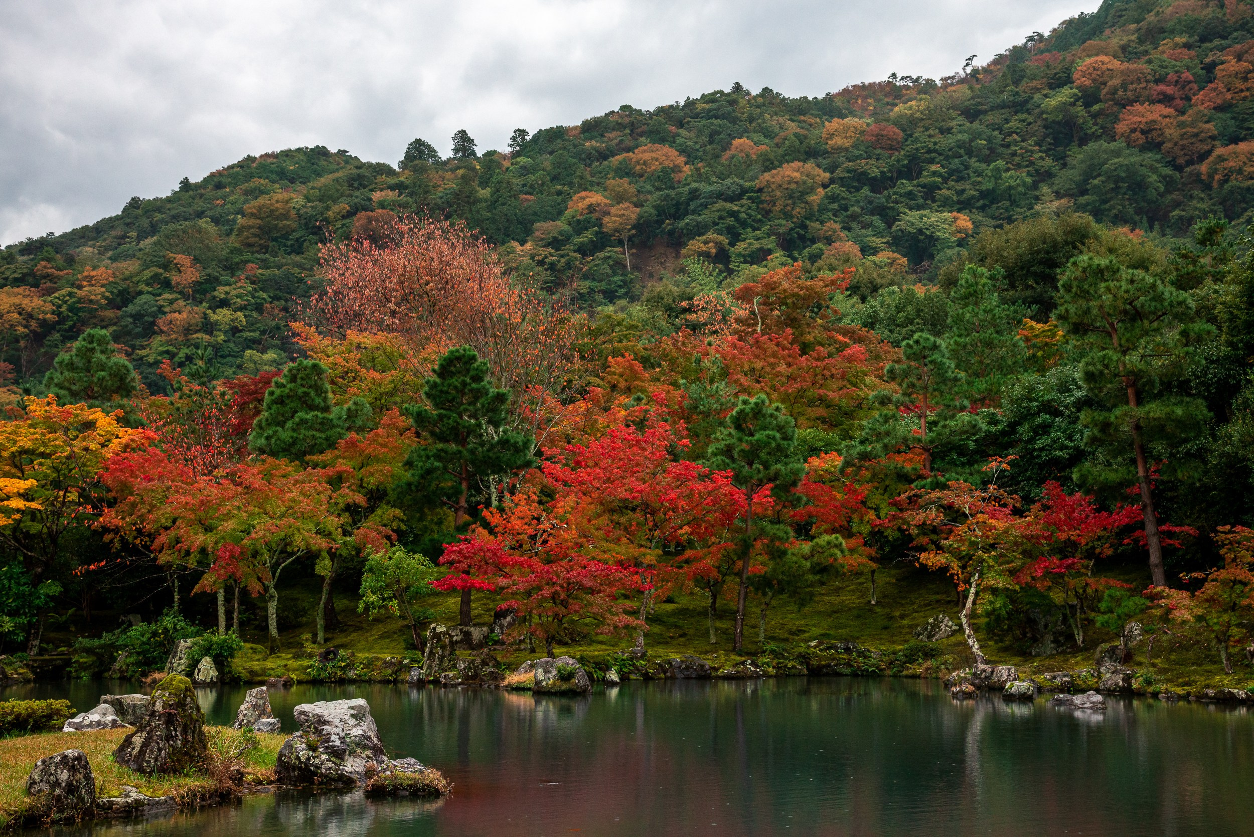 Japan. Marius Ciocan