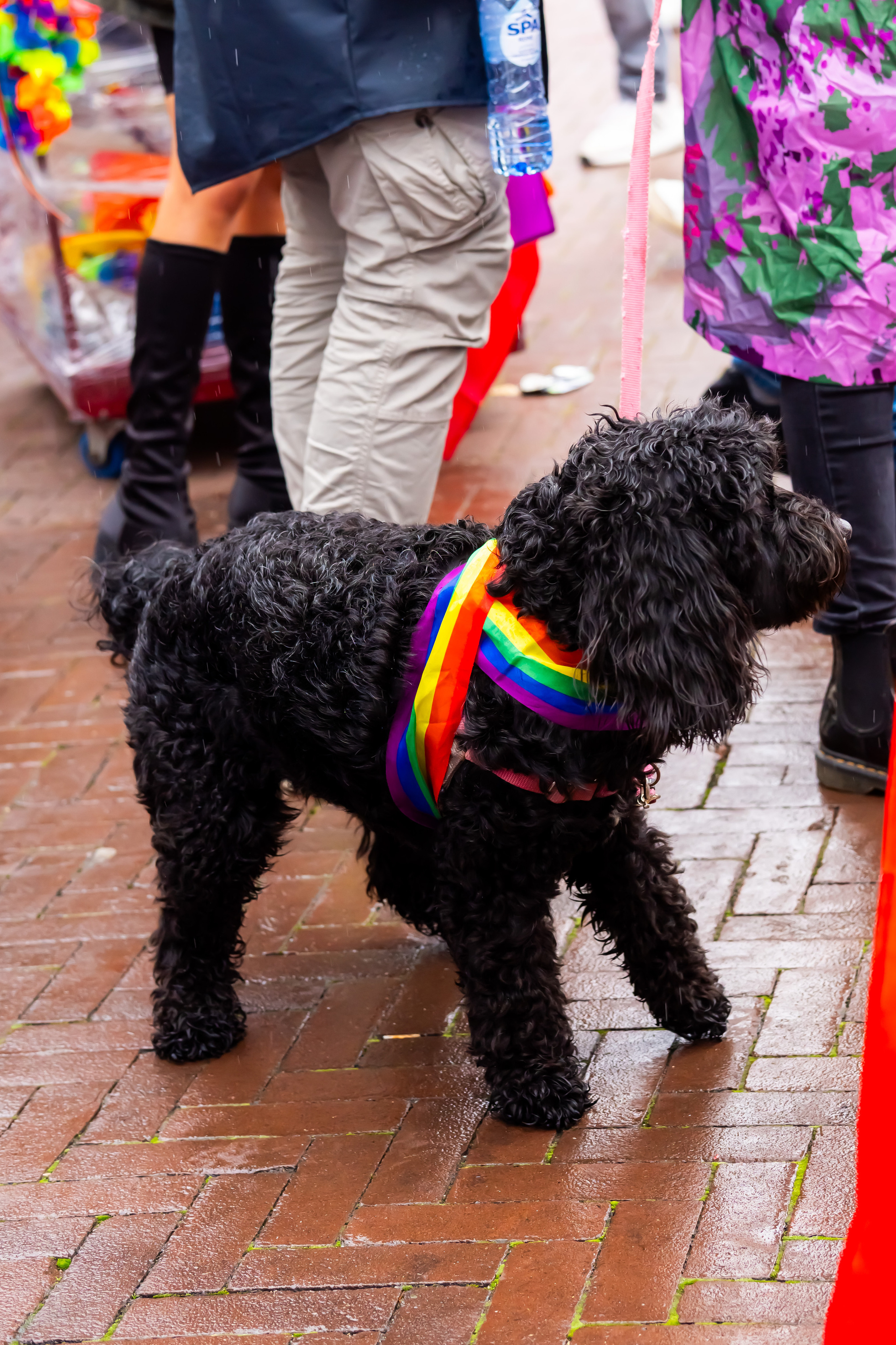 Events. Khusi Visuals Studio — Amsterdam Photographer