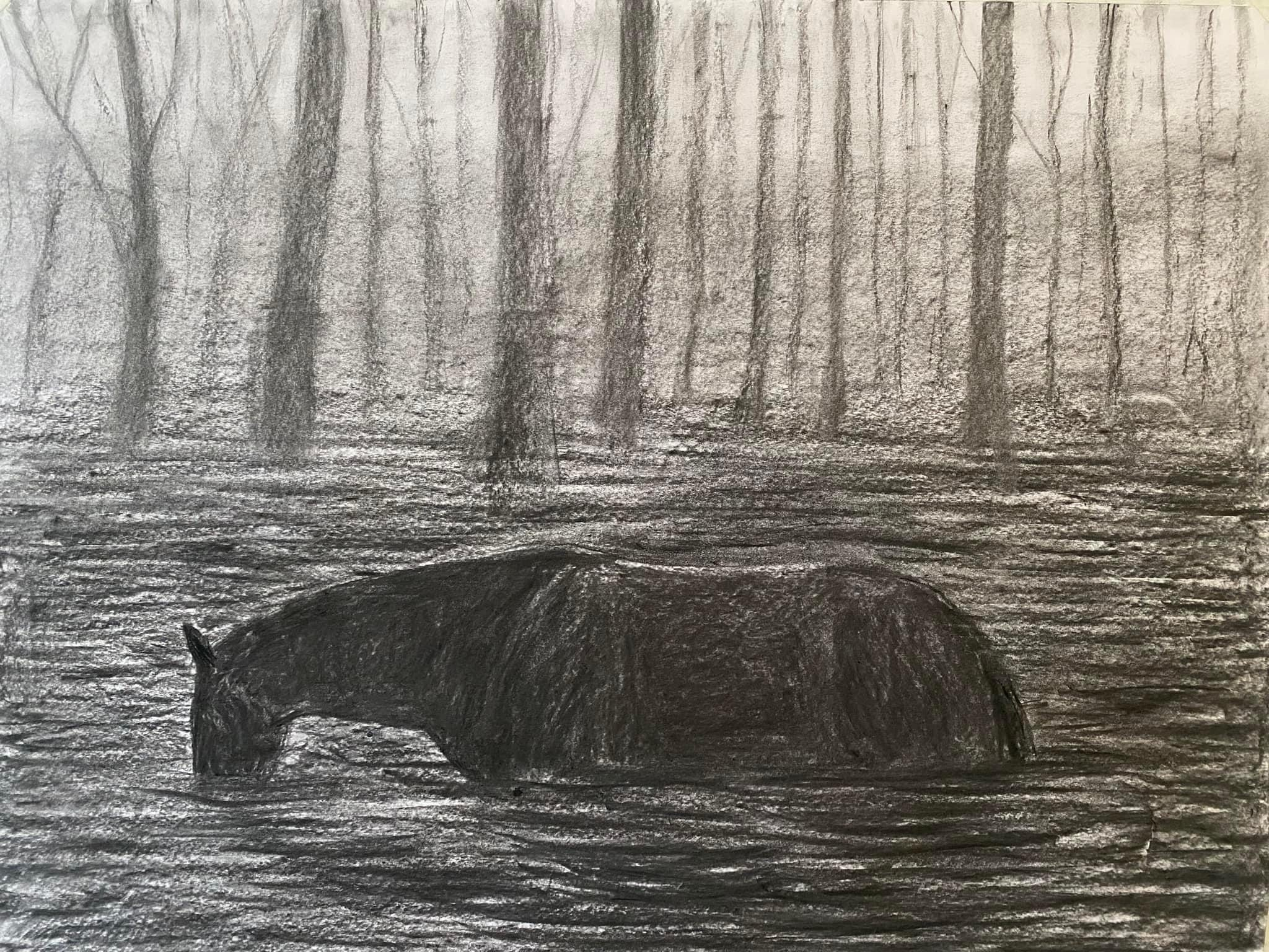 Chevaux. Marina Antonova