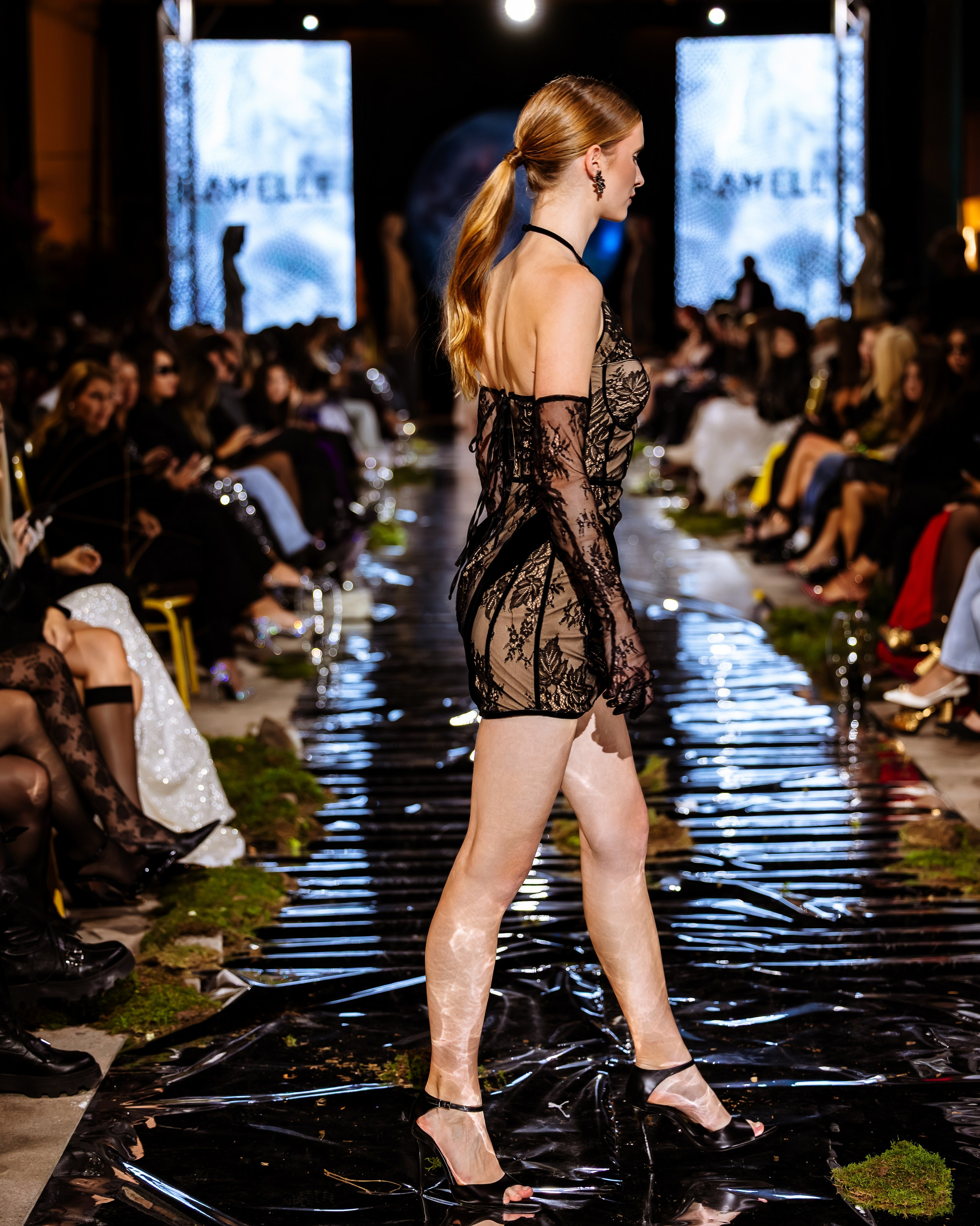 Prive. Marius Ciocan