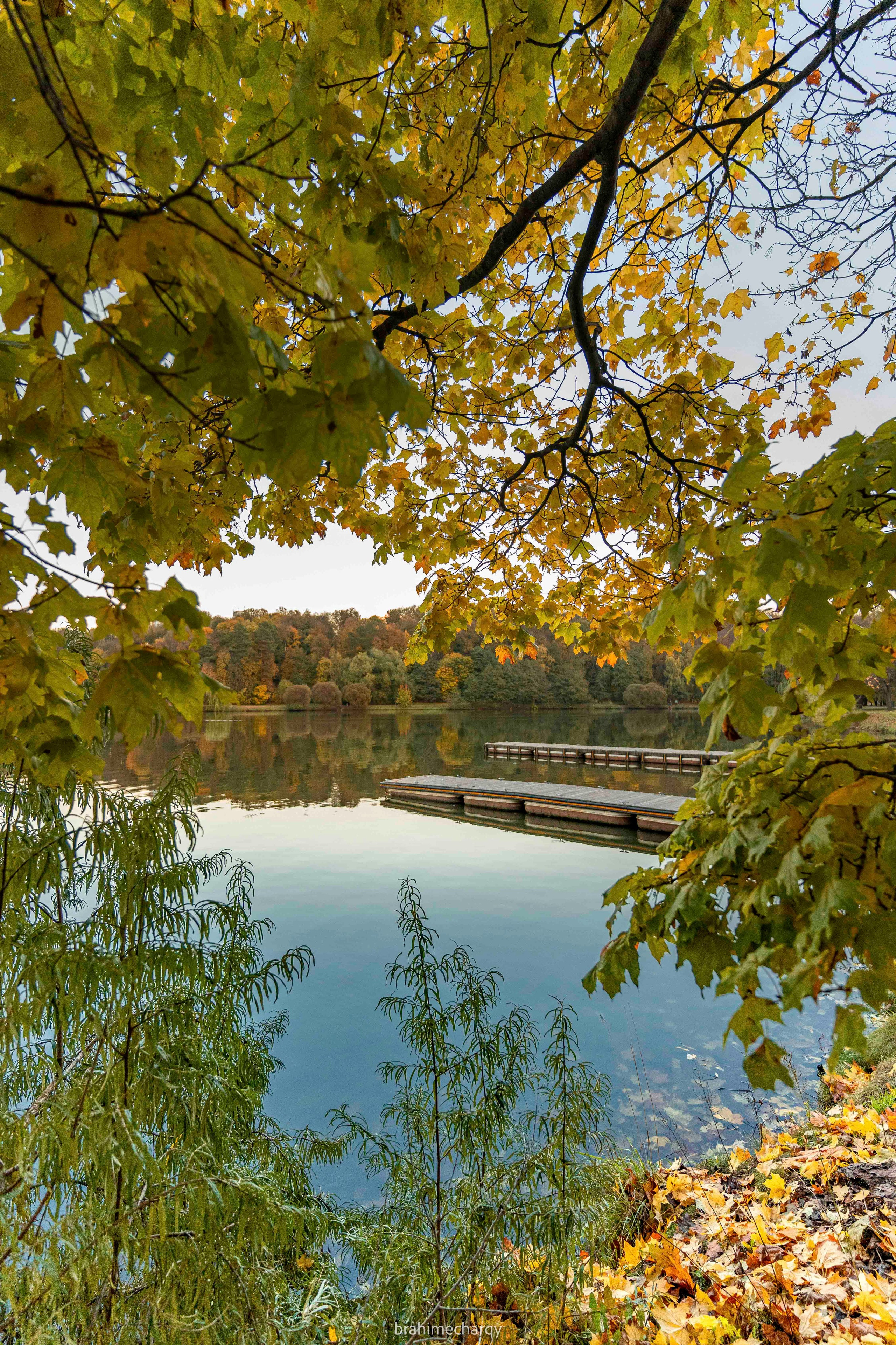 Фото. Брахим — фотограф