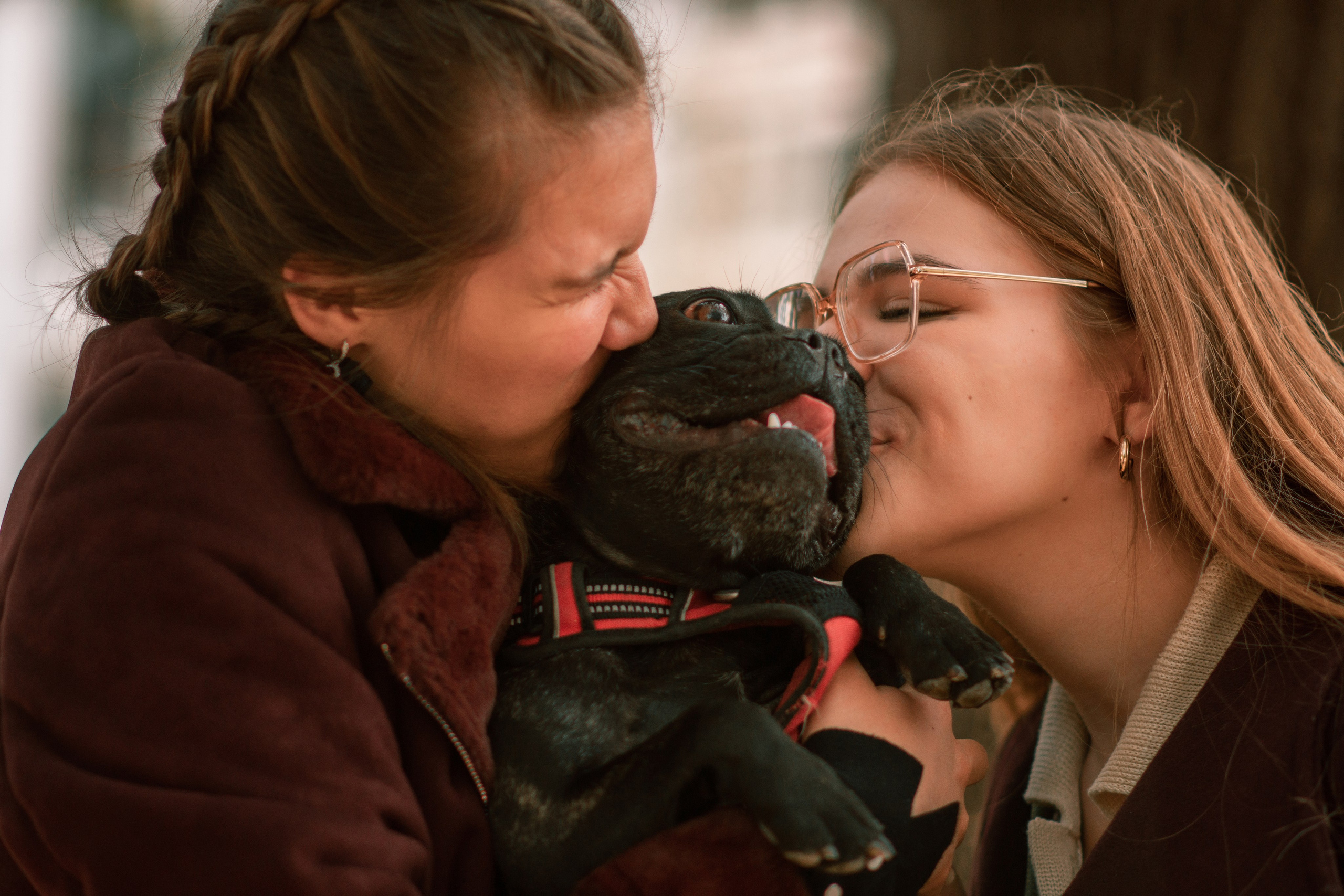 Осень. Семейный и детский фотограф