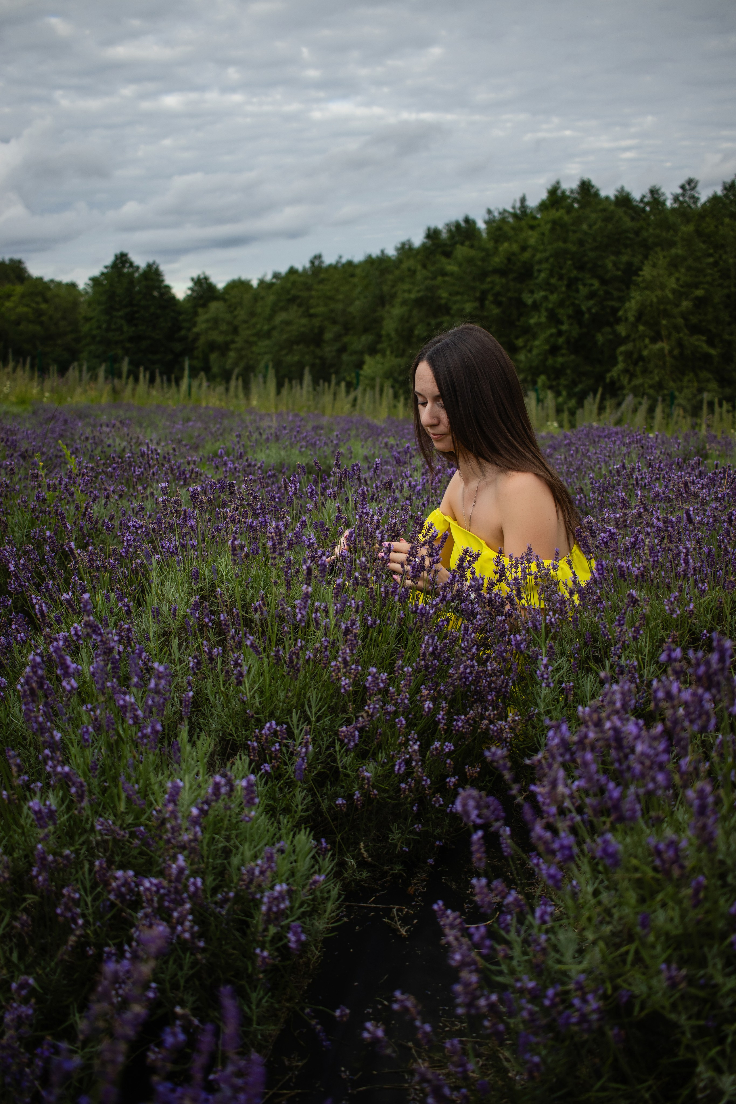 Фотосессия в лаванде. Portretu fotogrāfs Daugavpilī Olga Antonova