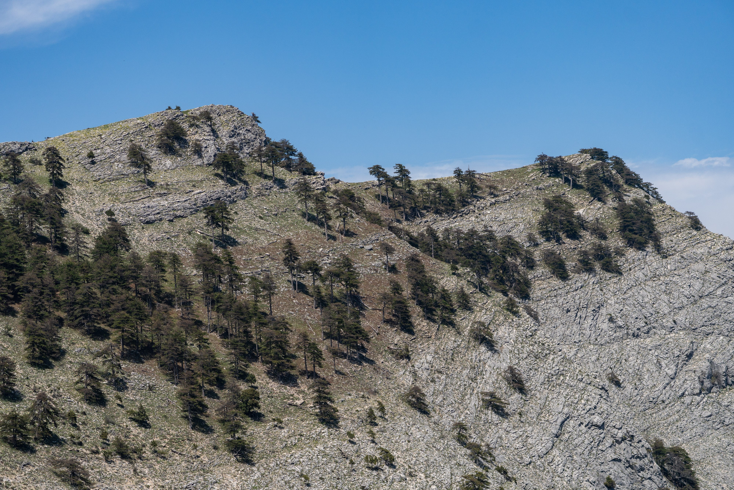 Thasos 2025. Fotografiideplacere.net