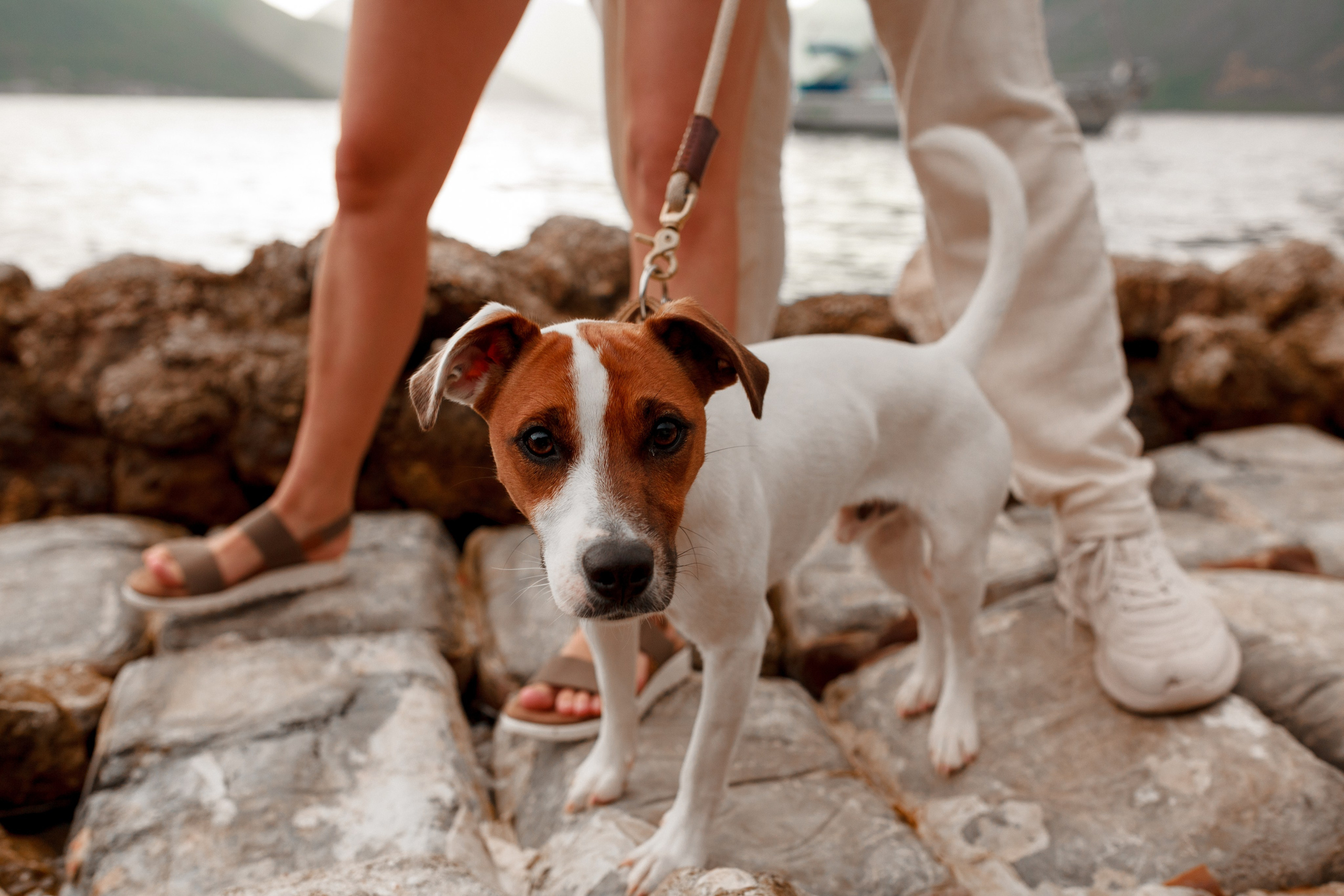 Love Story. Семейный, детский, женский фотограф в Черногории