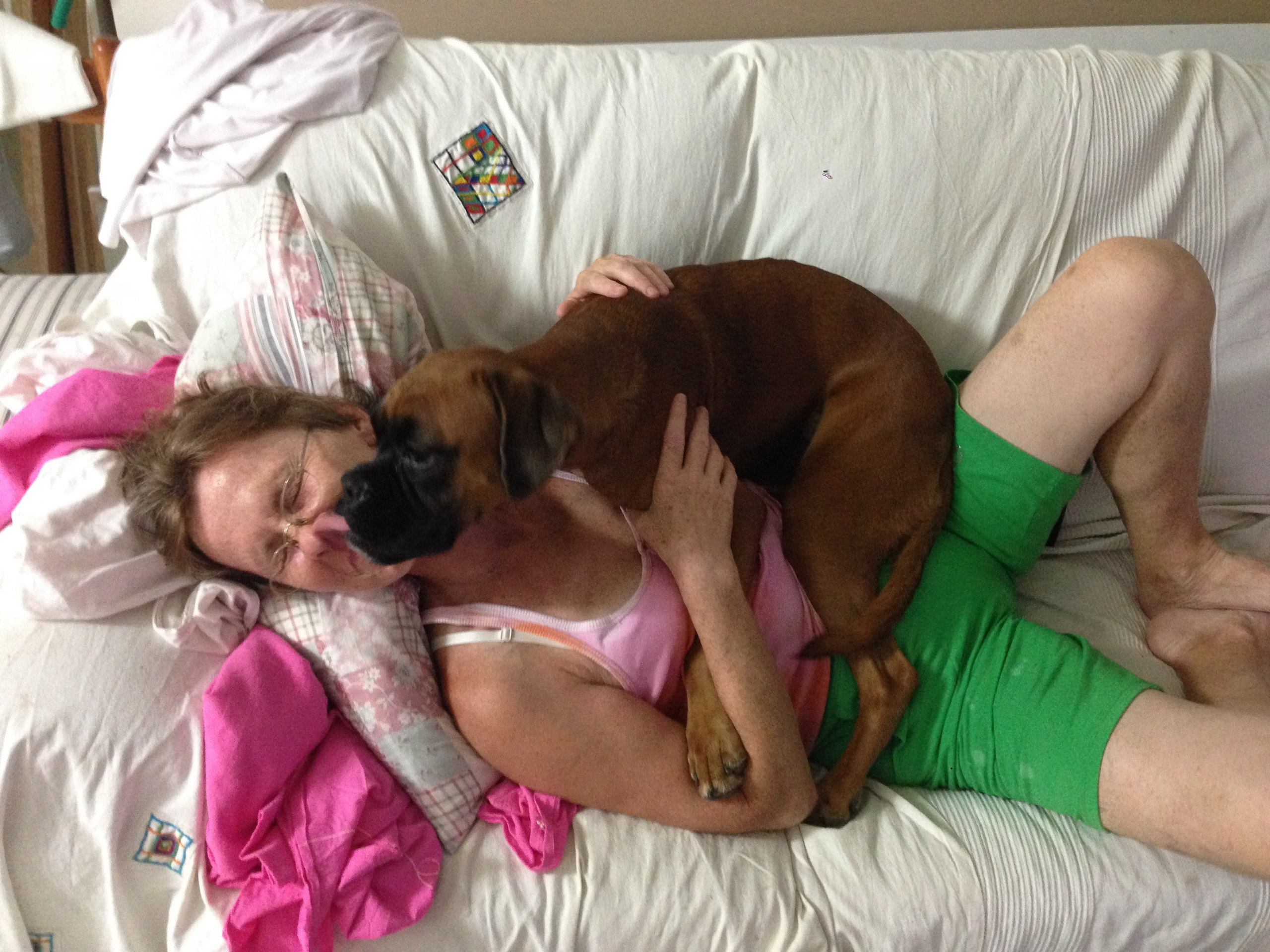 My ״Star״ Boxer Dog