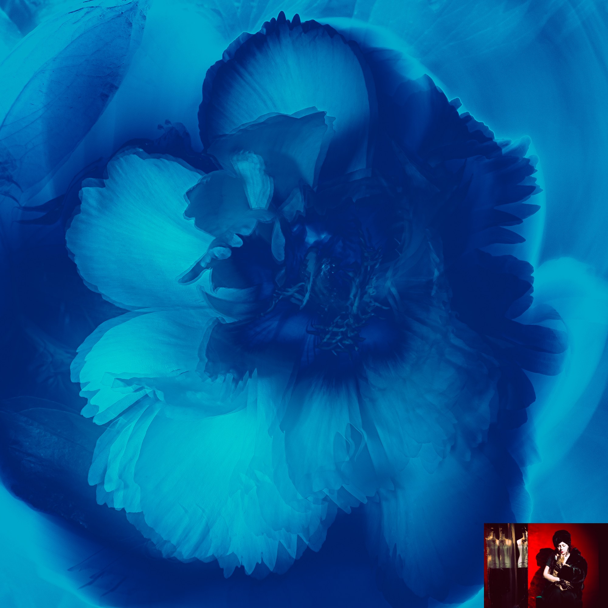 Portraits of Park Residents. Ekaterina Tsurkina-Appina Photography Canada