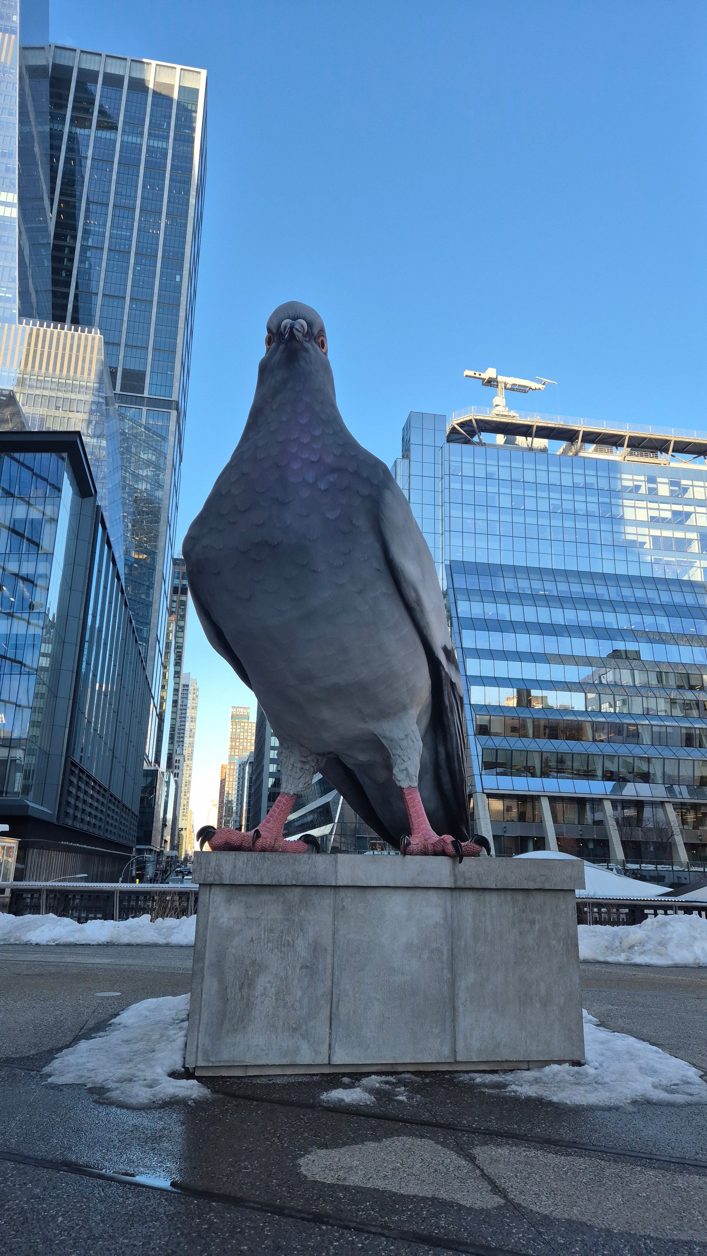 New York 2026. Photographer Marina, city of Nuremberg