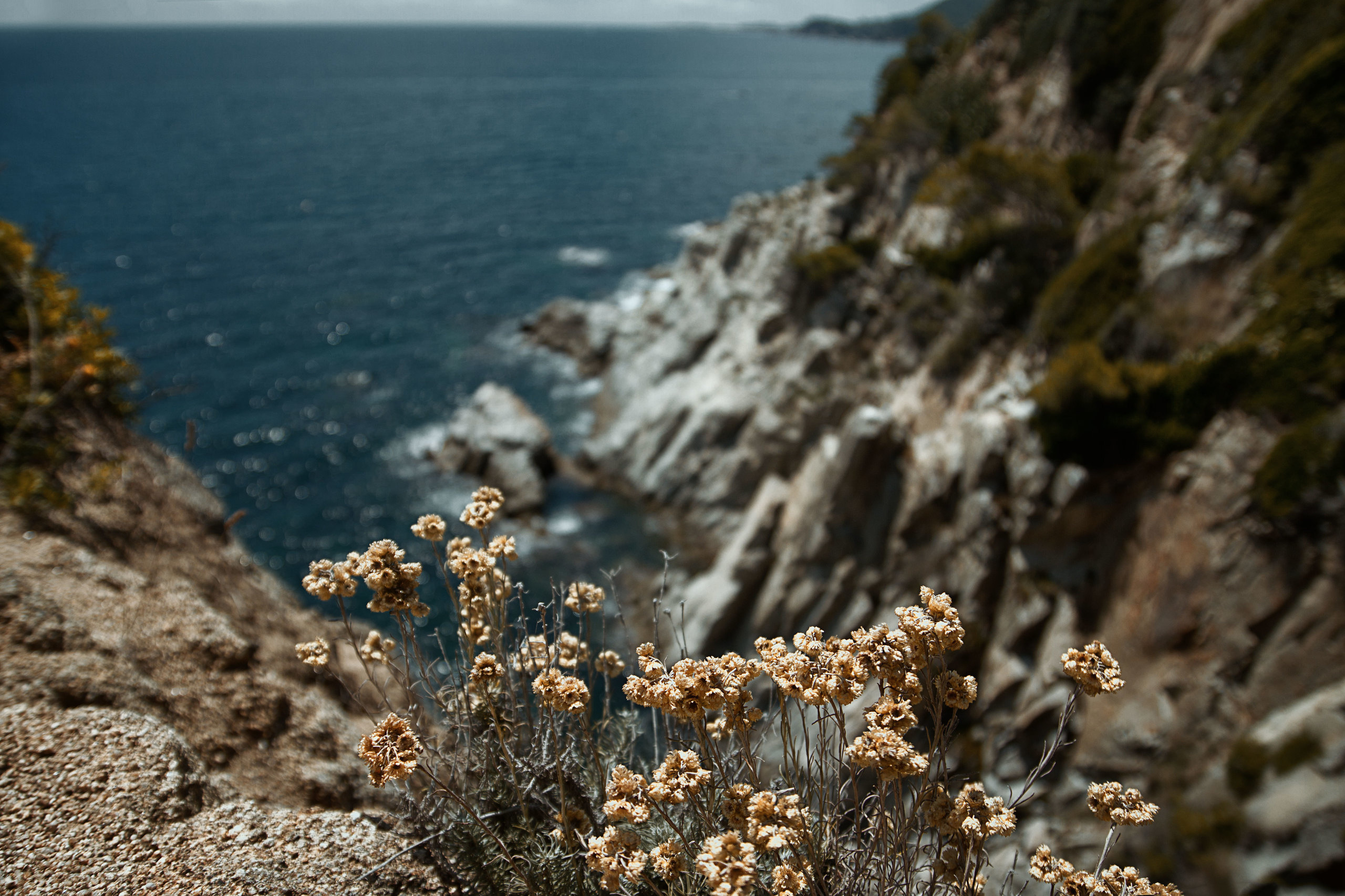 My travels. Alexandra Grevtseva — Art-photographer in Germany