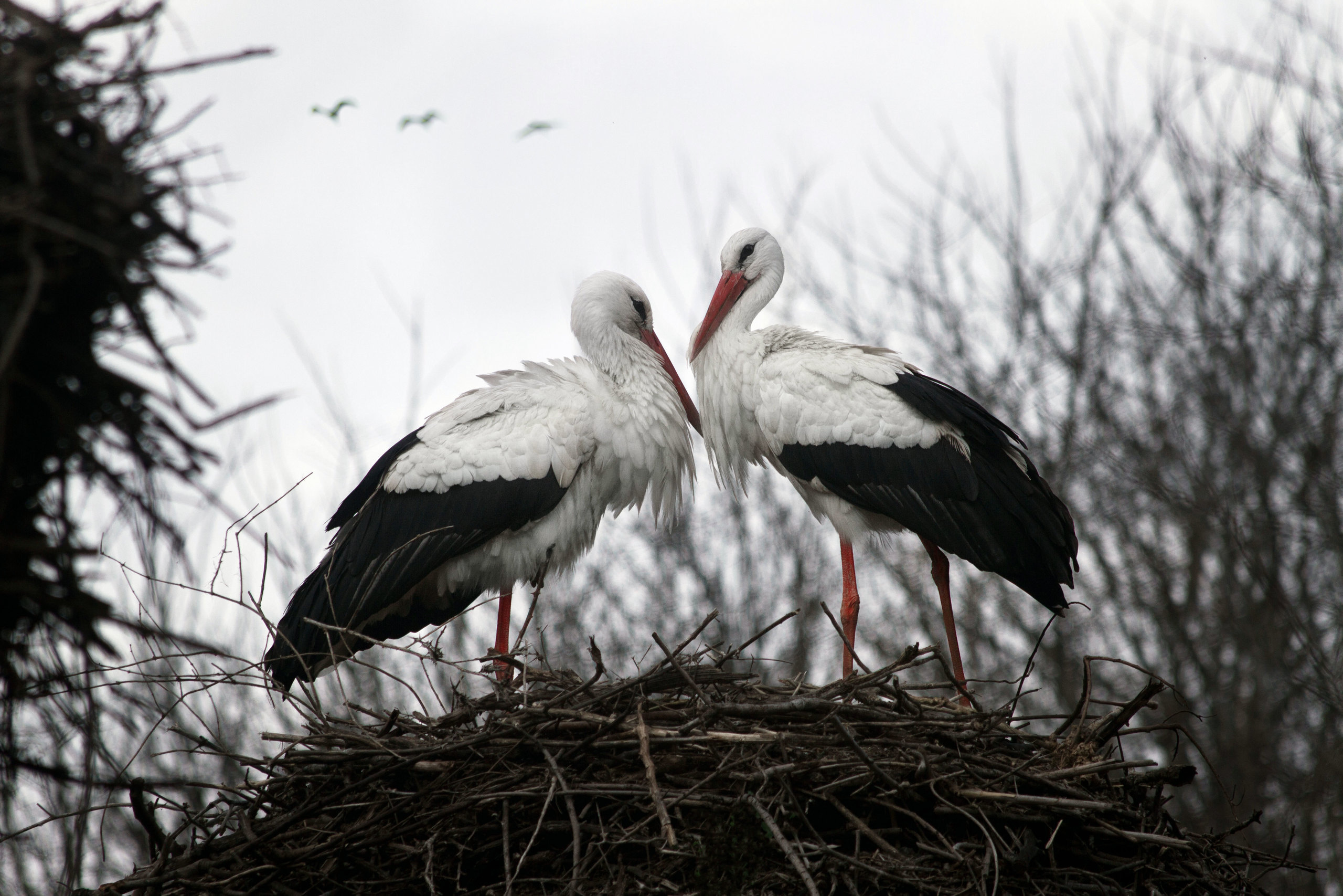My travels. Alexandra Grevtseva — Art-photographer in Germany