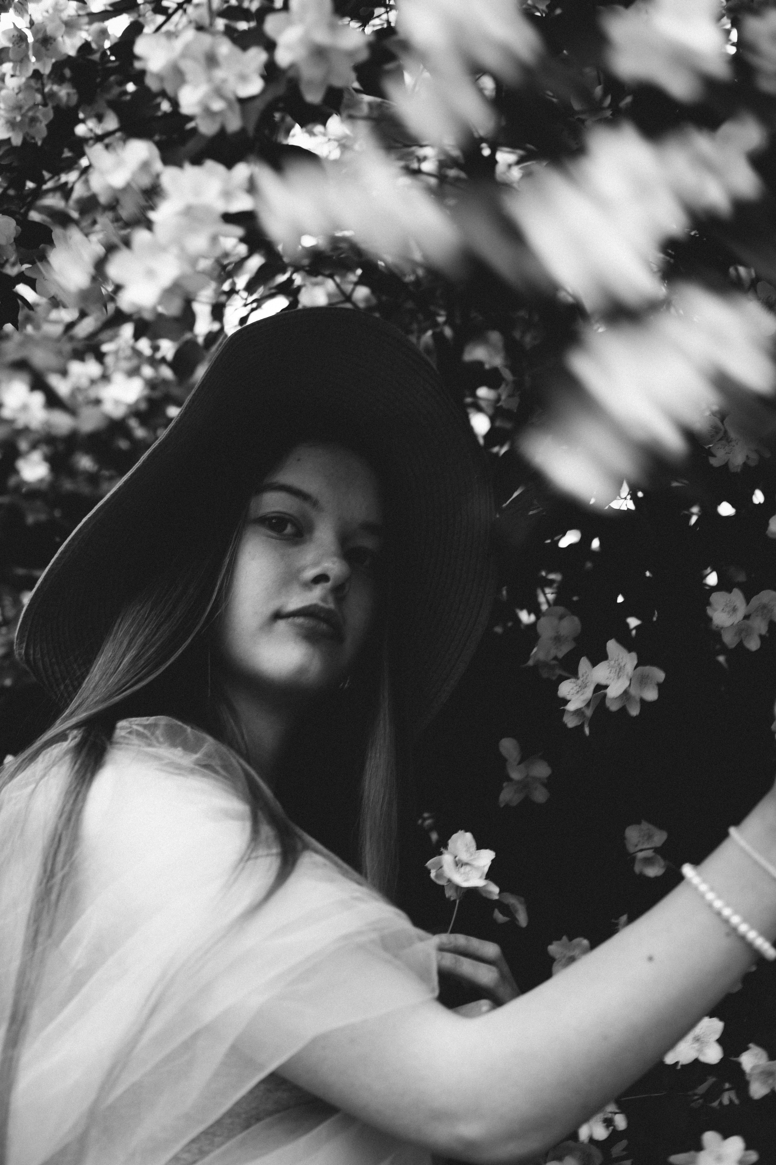 Foto in Jasmin. PHOTOgrapher Germany MARBURG