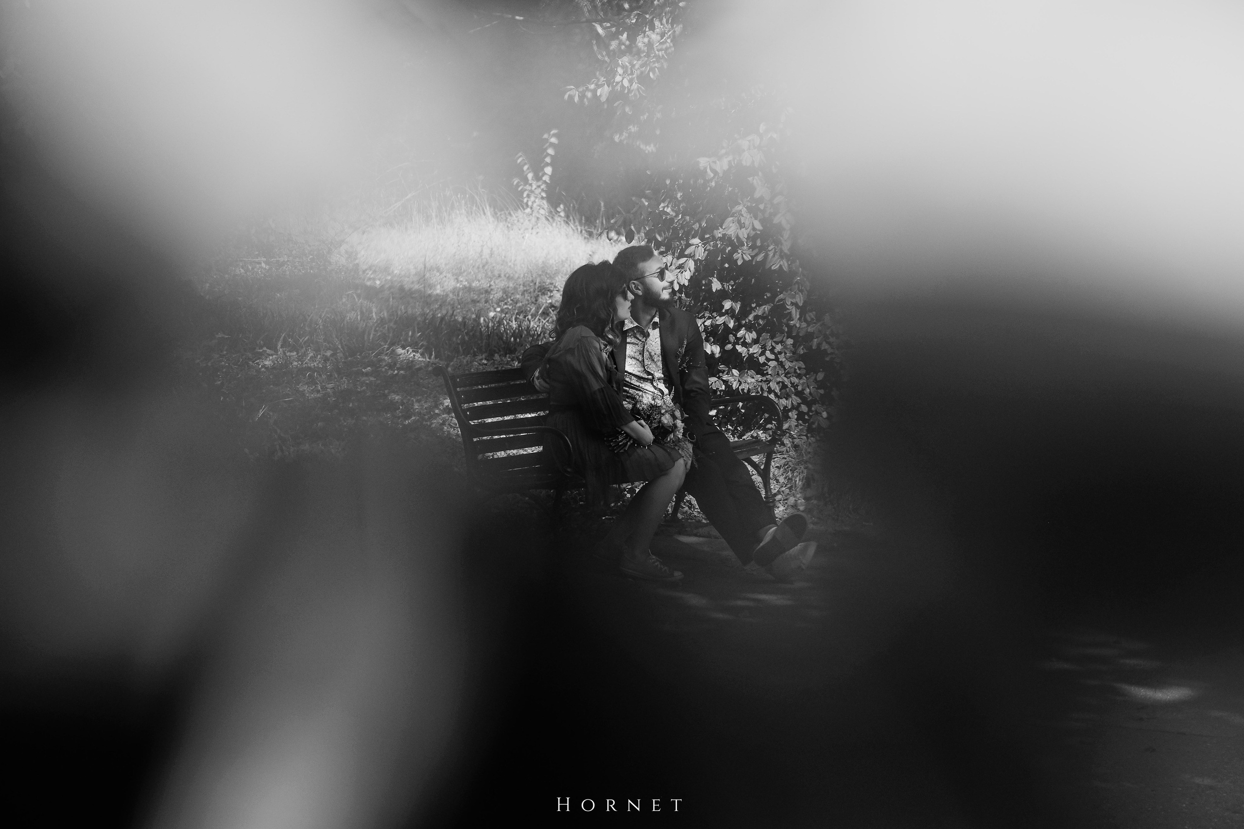 Teo + Andrei. Hornetart