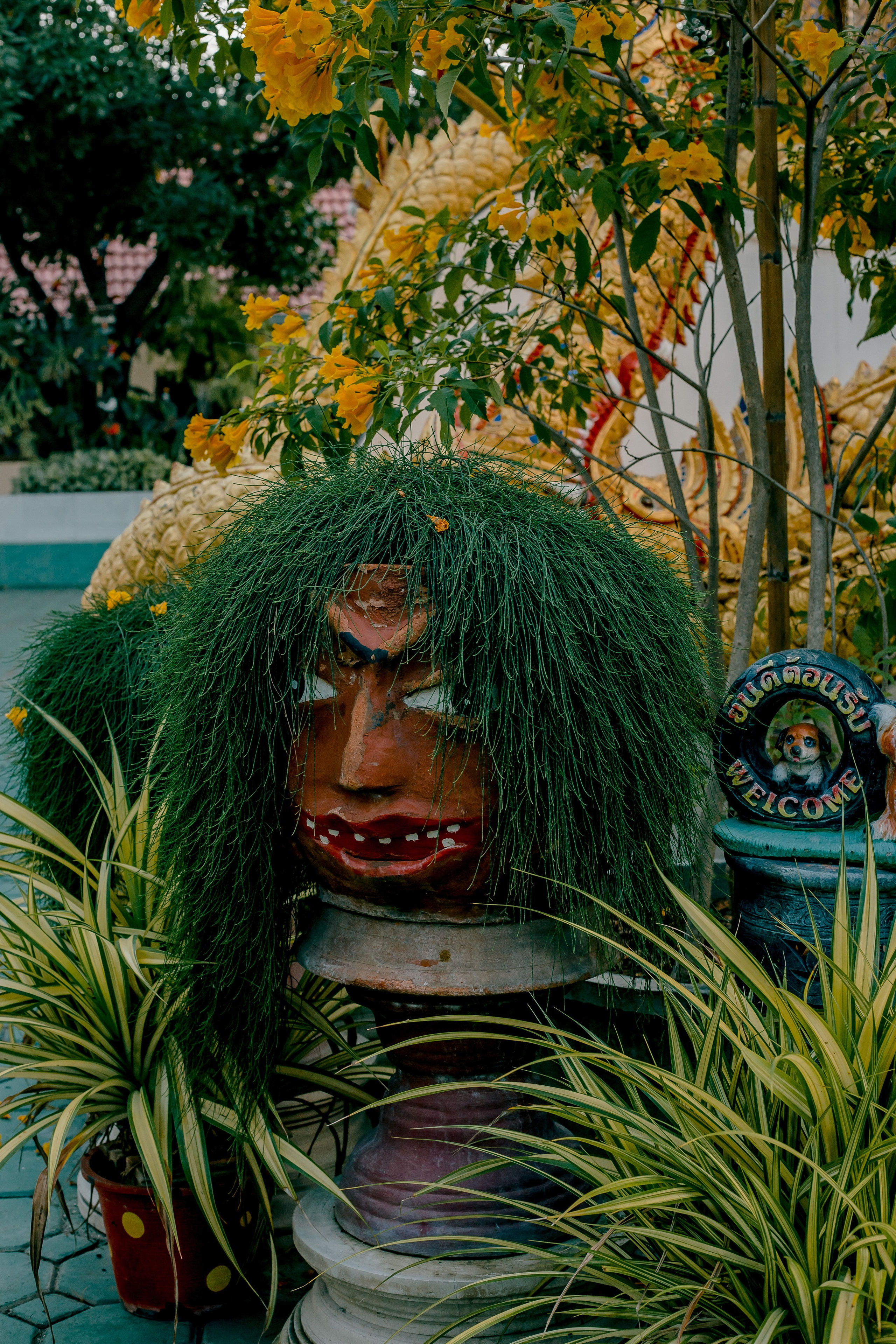 Thailand, Chiang Mai. Art Photographer