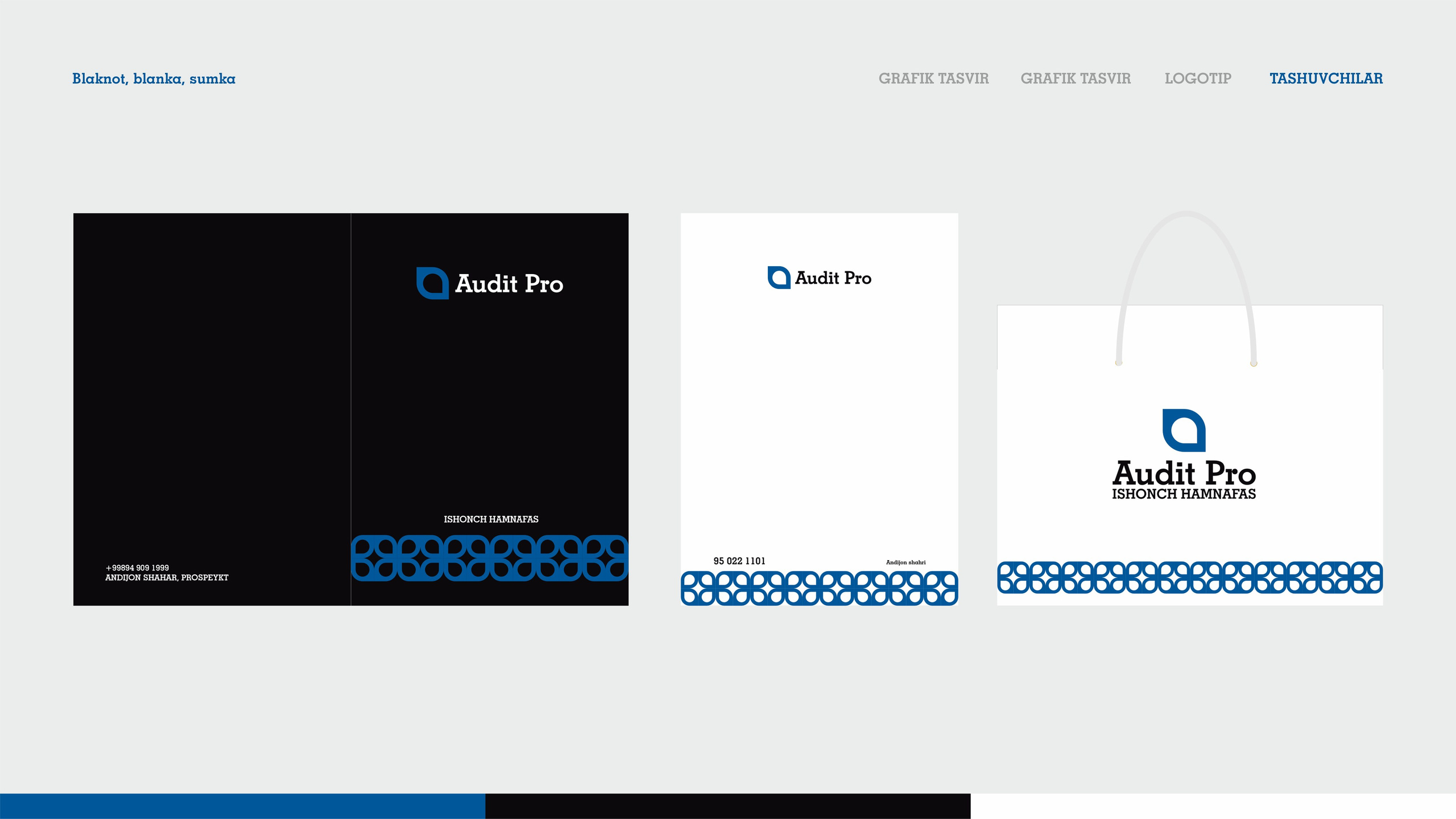 Audit Pro - Logotip. Dirov — Hayot Khodirov