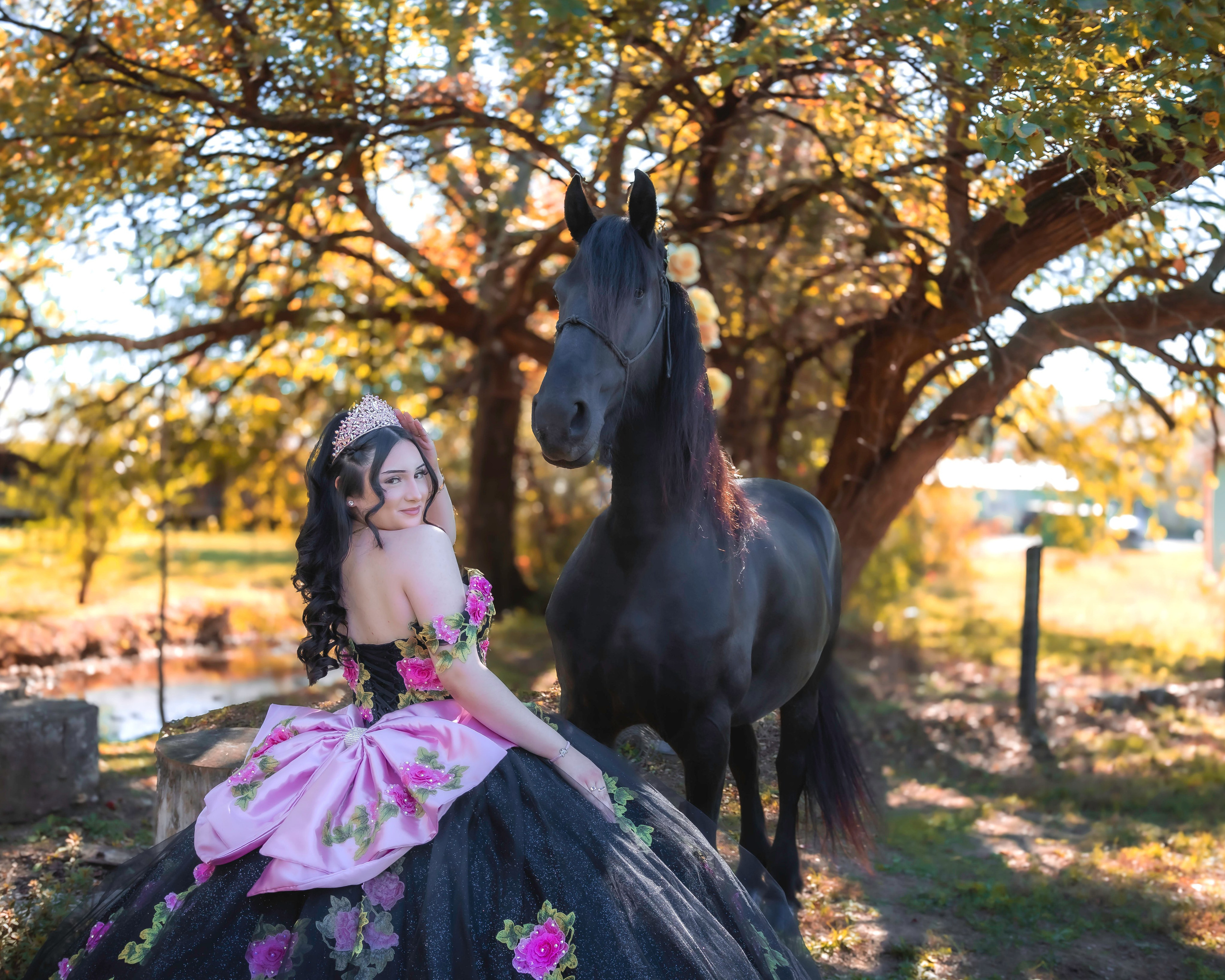 Servicios. Quinceañerasñeras, wedding photographer in Tennessee