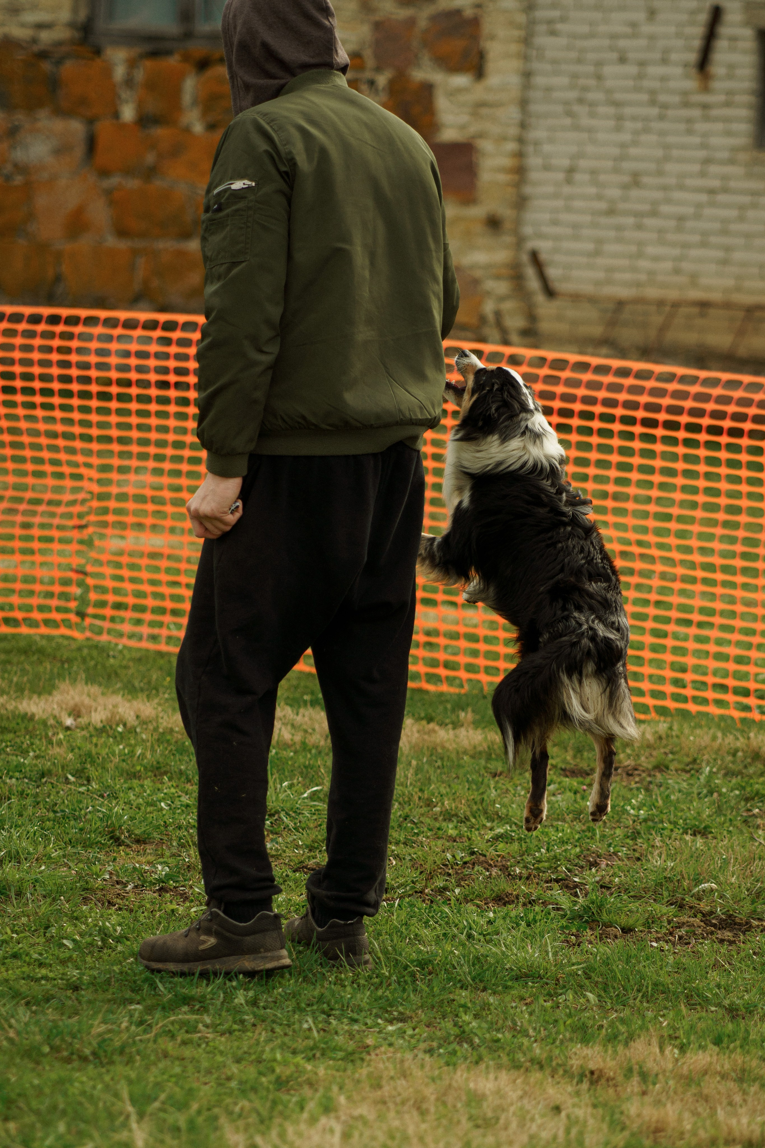 Herding Days, 26 apr. 2025. Kat Laisaar — Pet photographer in Tallinn