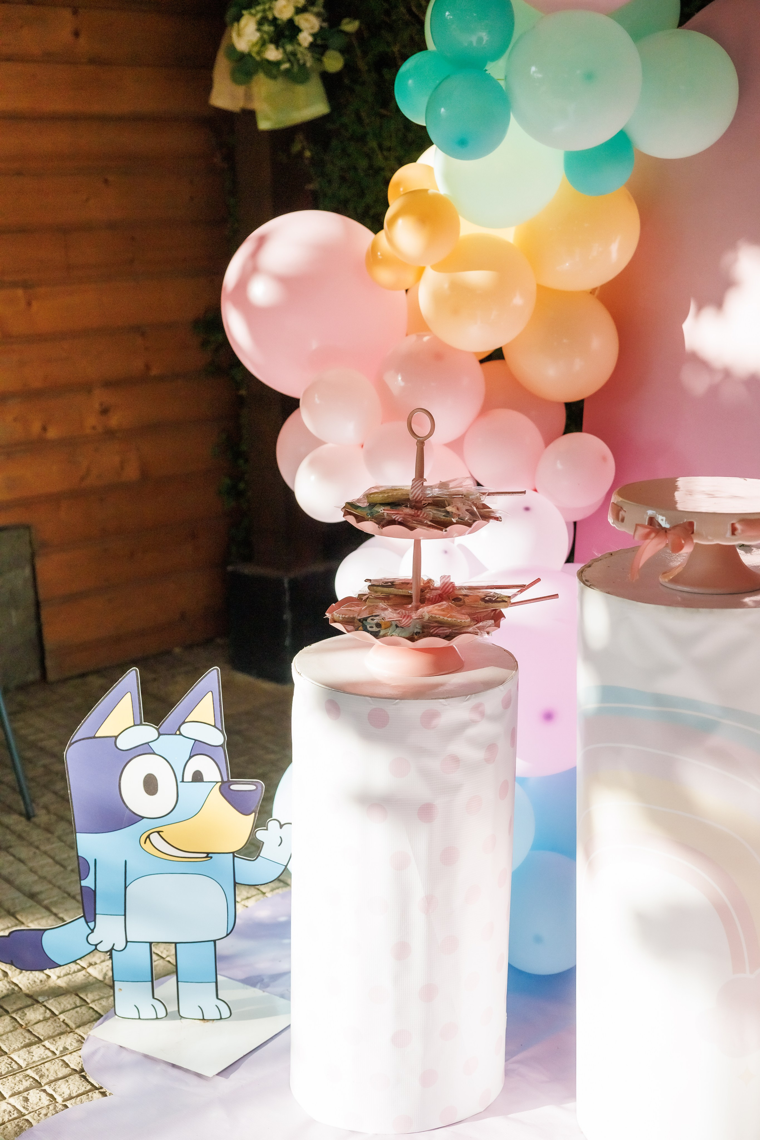 Честит Рожден Ден. Фотограф Ирина Йотова