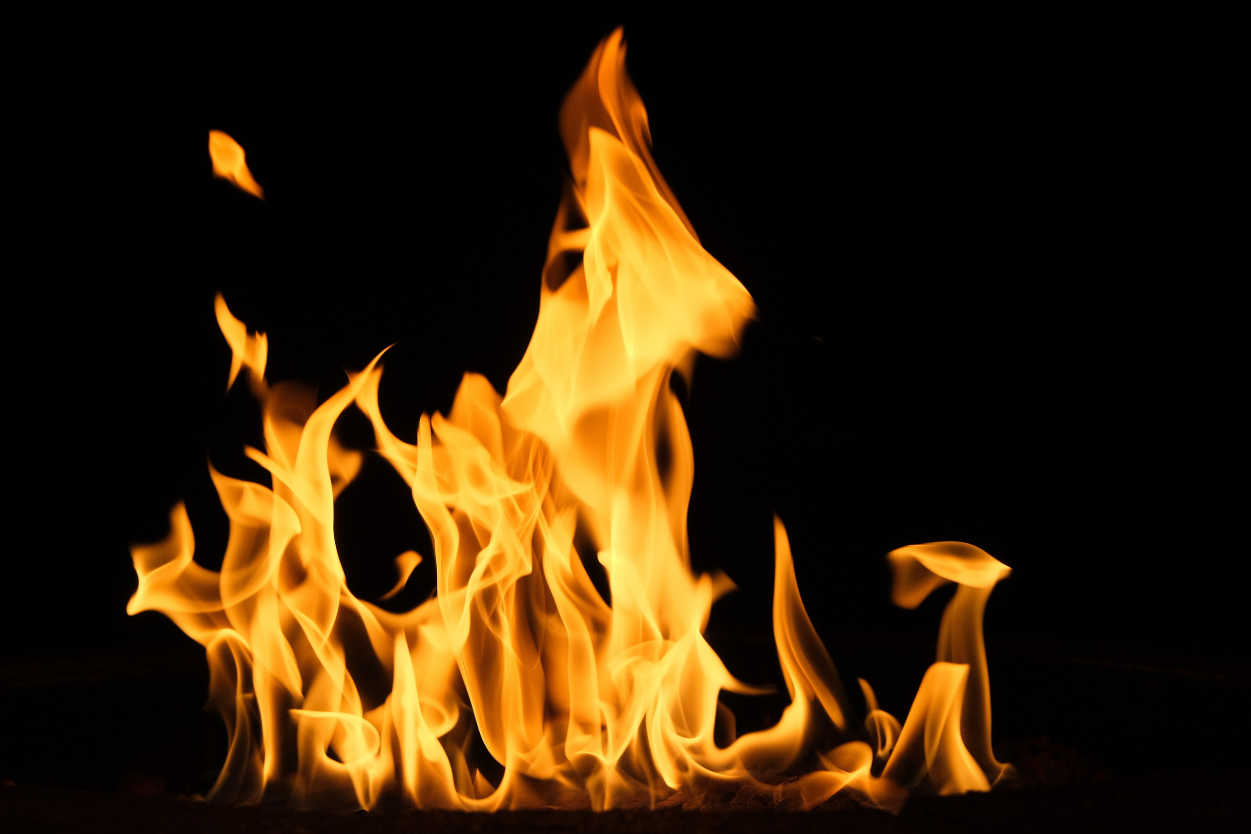 VATRA. Reportage concert portrait photography in the San Francisco Bay Area