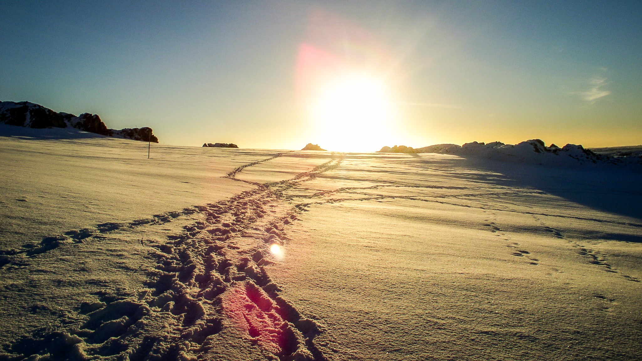 ANTARCTICA / 2004. Reportage concert portrait photography in the San Francisco Bay Area