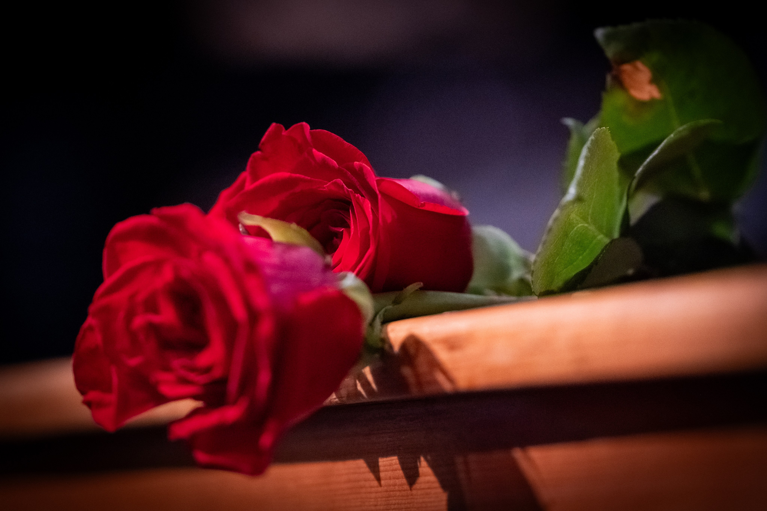 FISH DON'T CRY. Reportage concert portrait photography in the San Francisco Bay Area